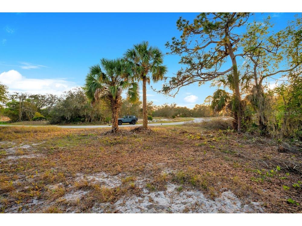 1411 Sarasota Court Poinciana FL 34759 O6306971 image6