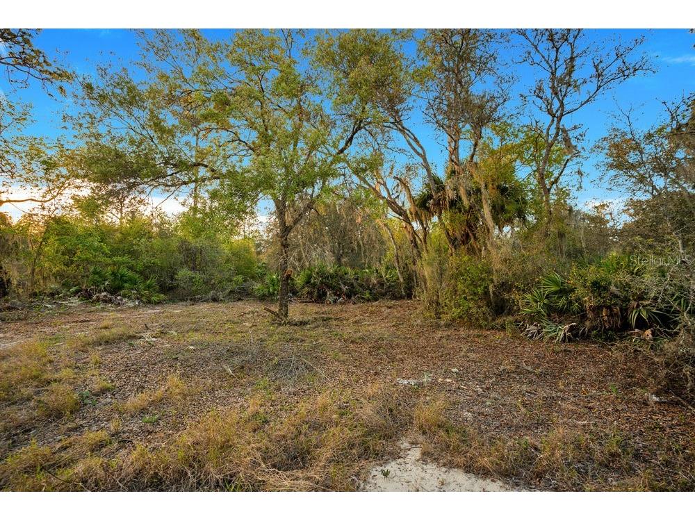 1411 Sarasota Court Poinciana FL 34759 O6306971 image7