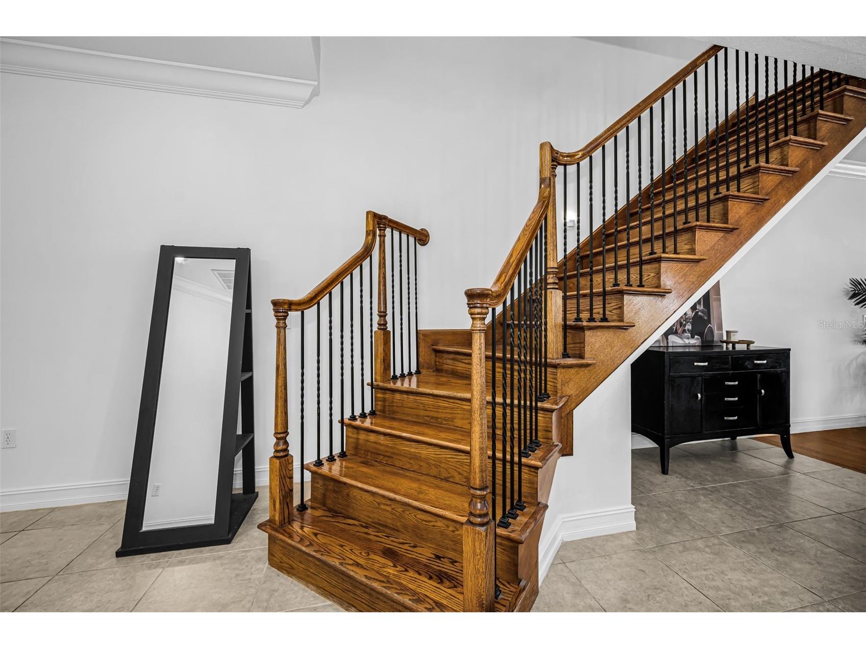 1411 Tessano Place Palm Harbor FL 34683 TB8494572 image18