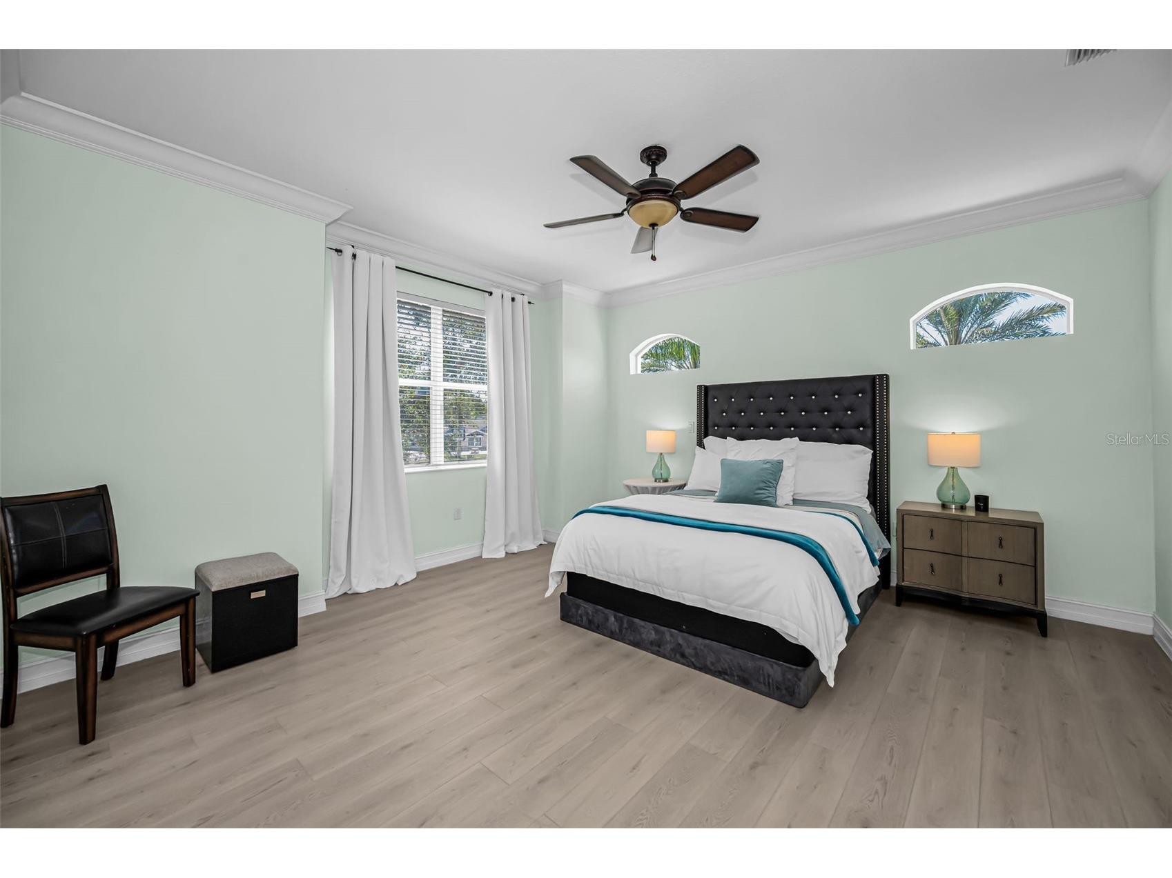 1411 Tessano Place Palm Harbor FL 34683 TB8494572 image22