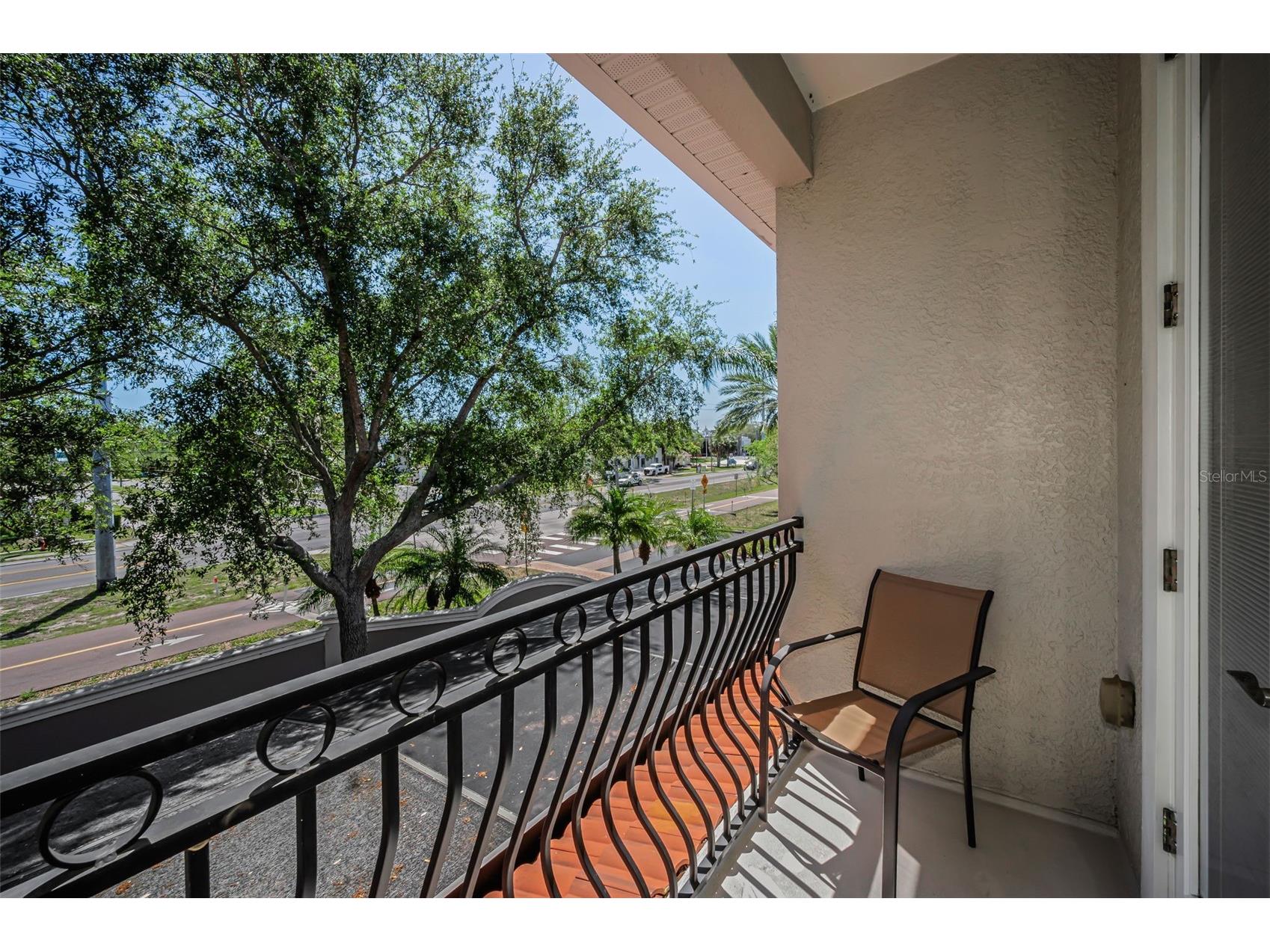 1411 Tessano Place Palm Harbor FL 34683 TB8494572 image23