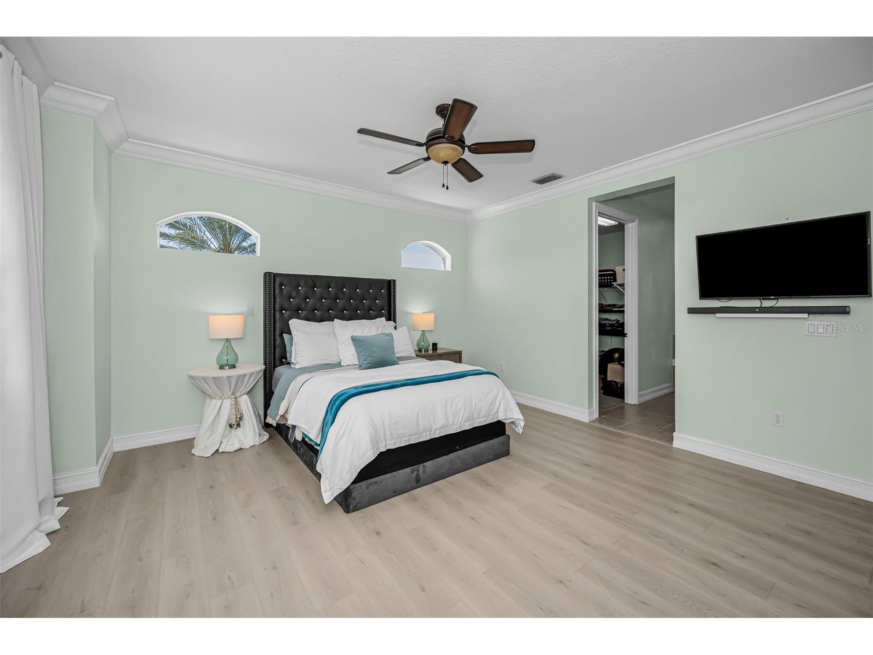 1411 Tessano Place Palm Harbor FL 34683 TB8494572 image26
