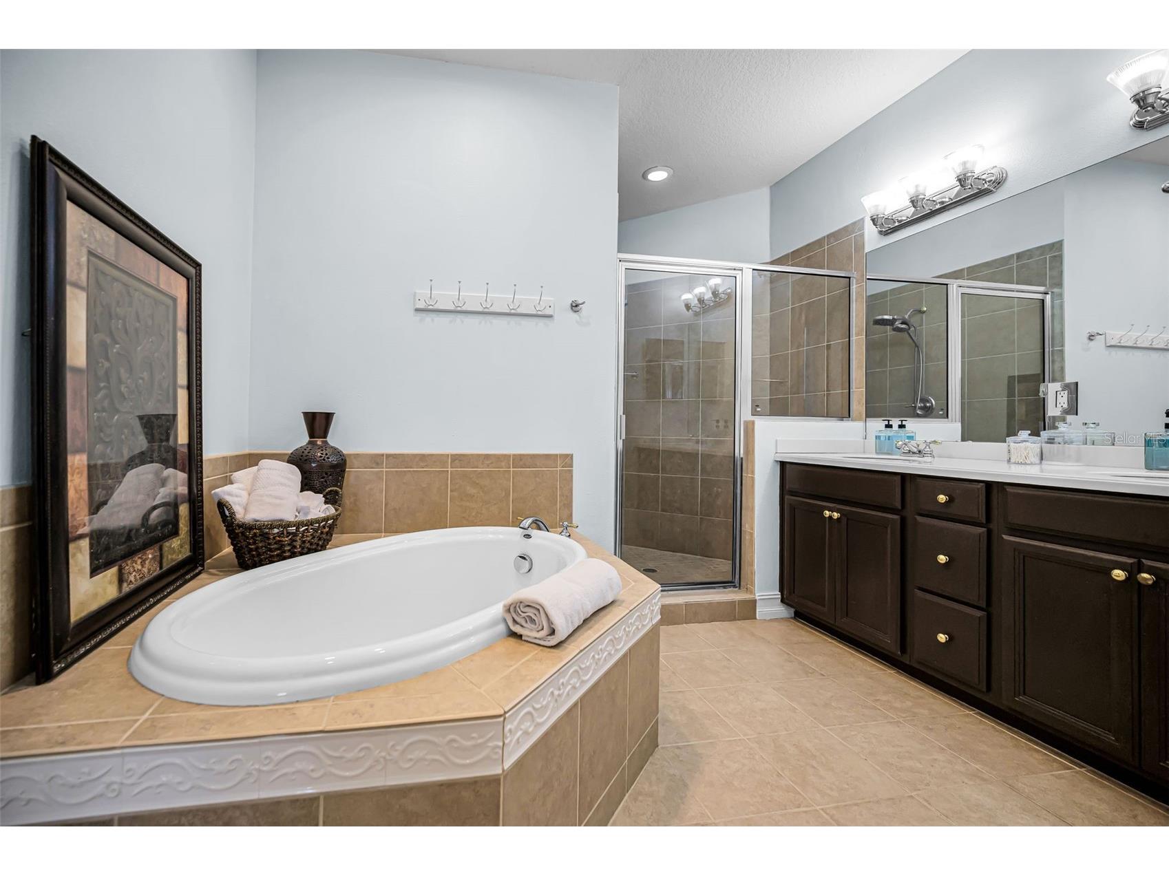 1411 Tessano Place Palm Harbor FL 34683 TB8494572 image28