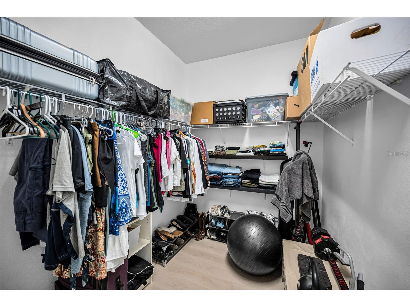 1411 Tessano Place Palm Harbor FL 34683 TB8494572 image29