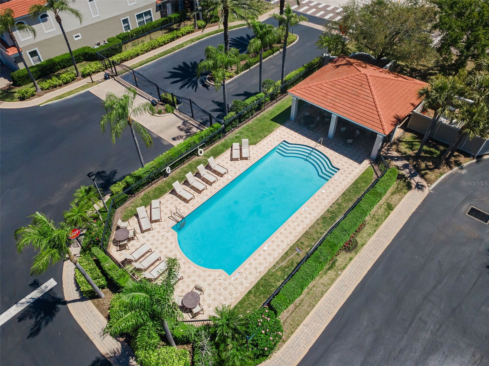 1411 Tessano Place Palm Harbor FL 34683 TB8494572 image3