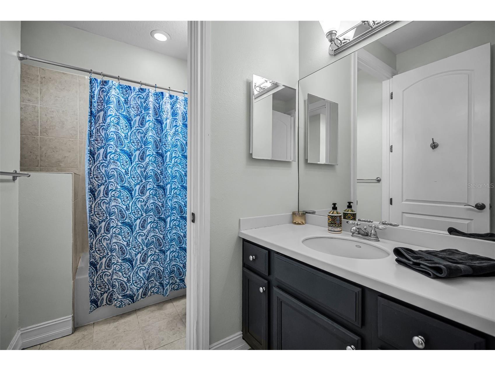 1411 Tessano Place Palm Harbor FL 34683 TB8494572 image31