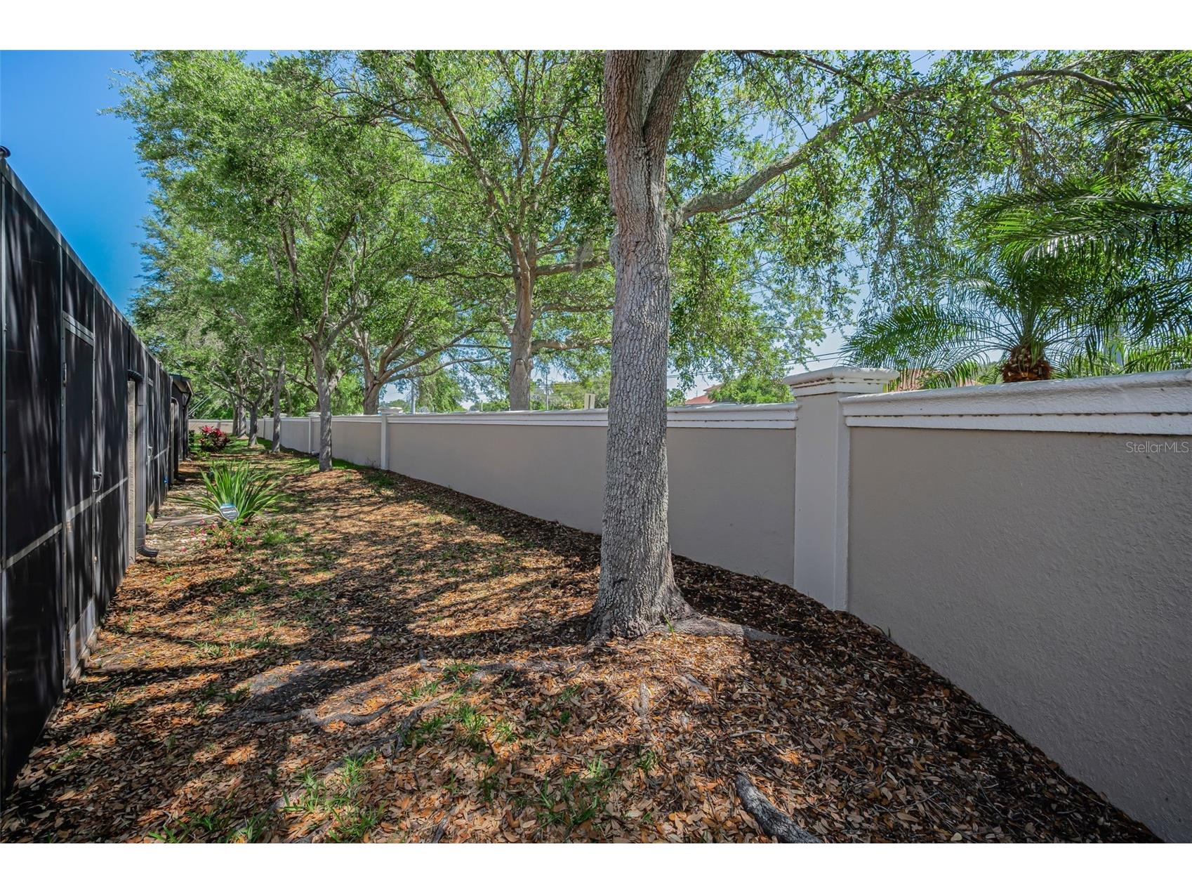 1411 Tessano Place Palm Harbor FL 34683 TB8494572 image42