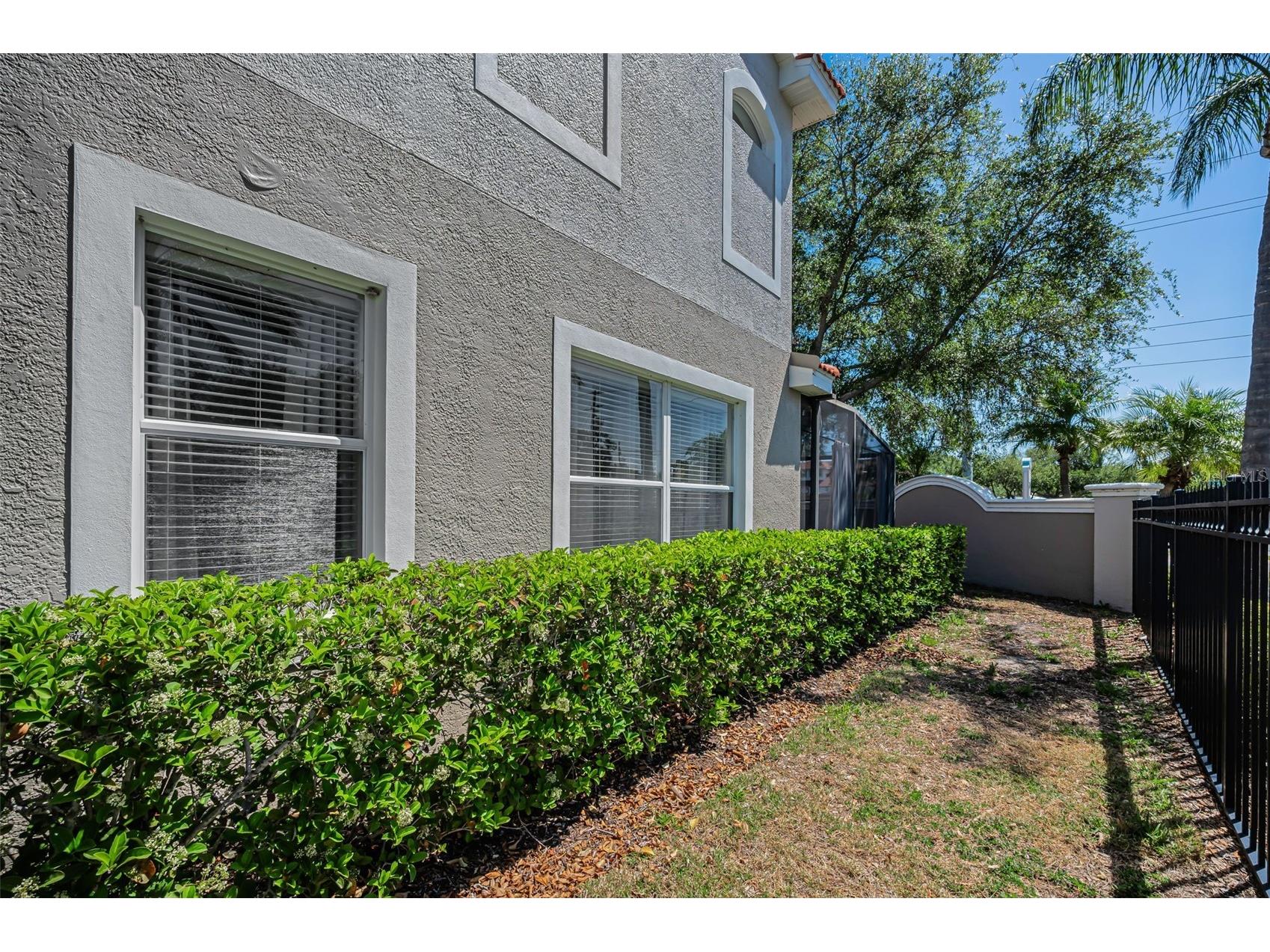 1411 Tessano Place Palm Harbor FL 34683 TB8494572 image44