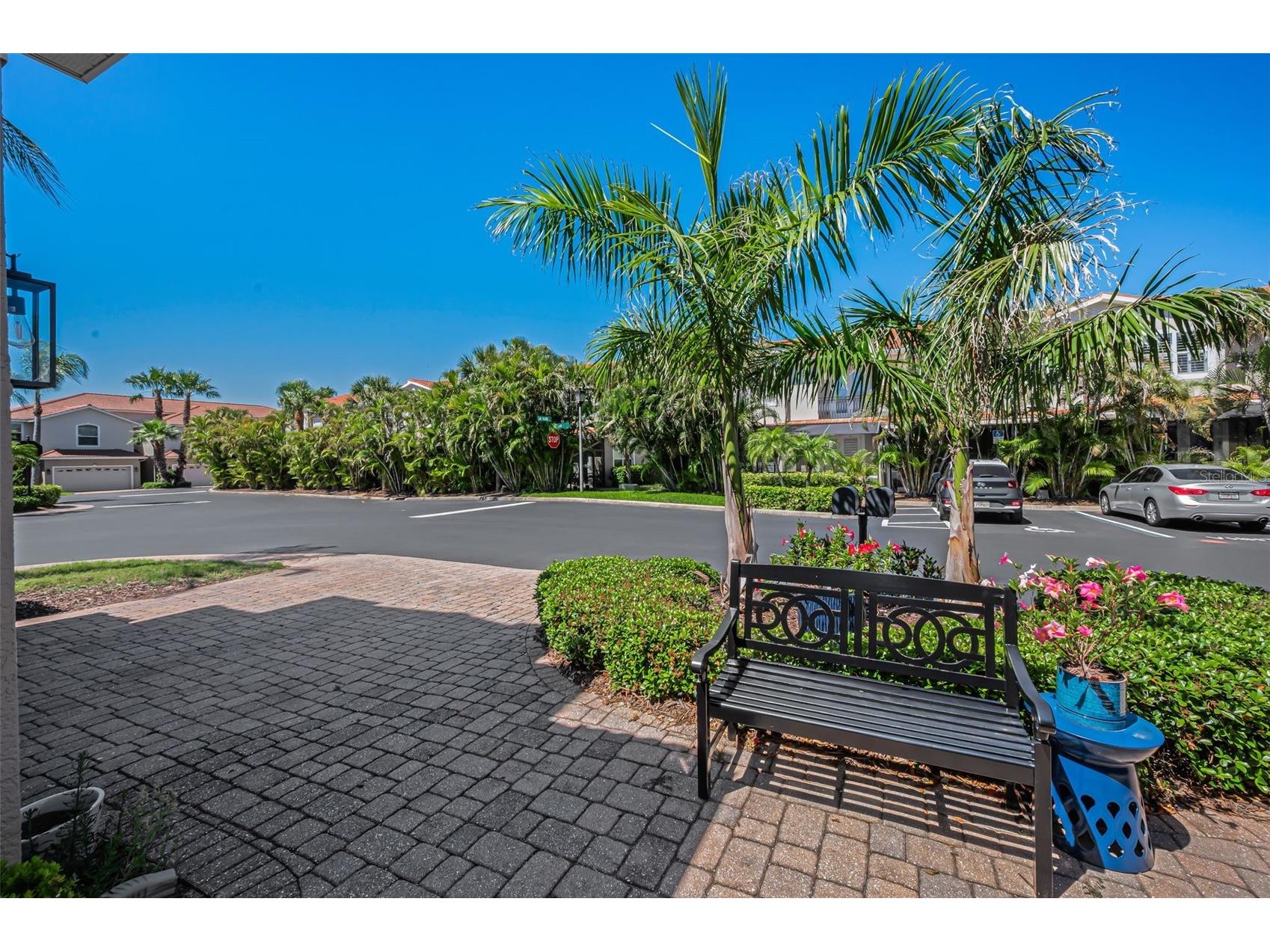1411 Tessano Place Palm Harbor FL 34683 TB8494572 image46