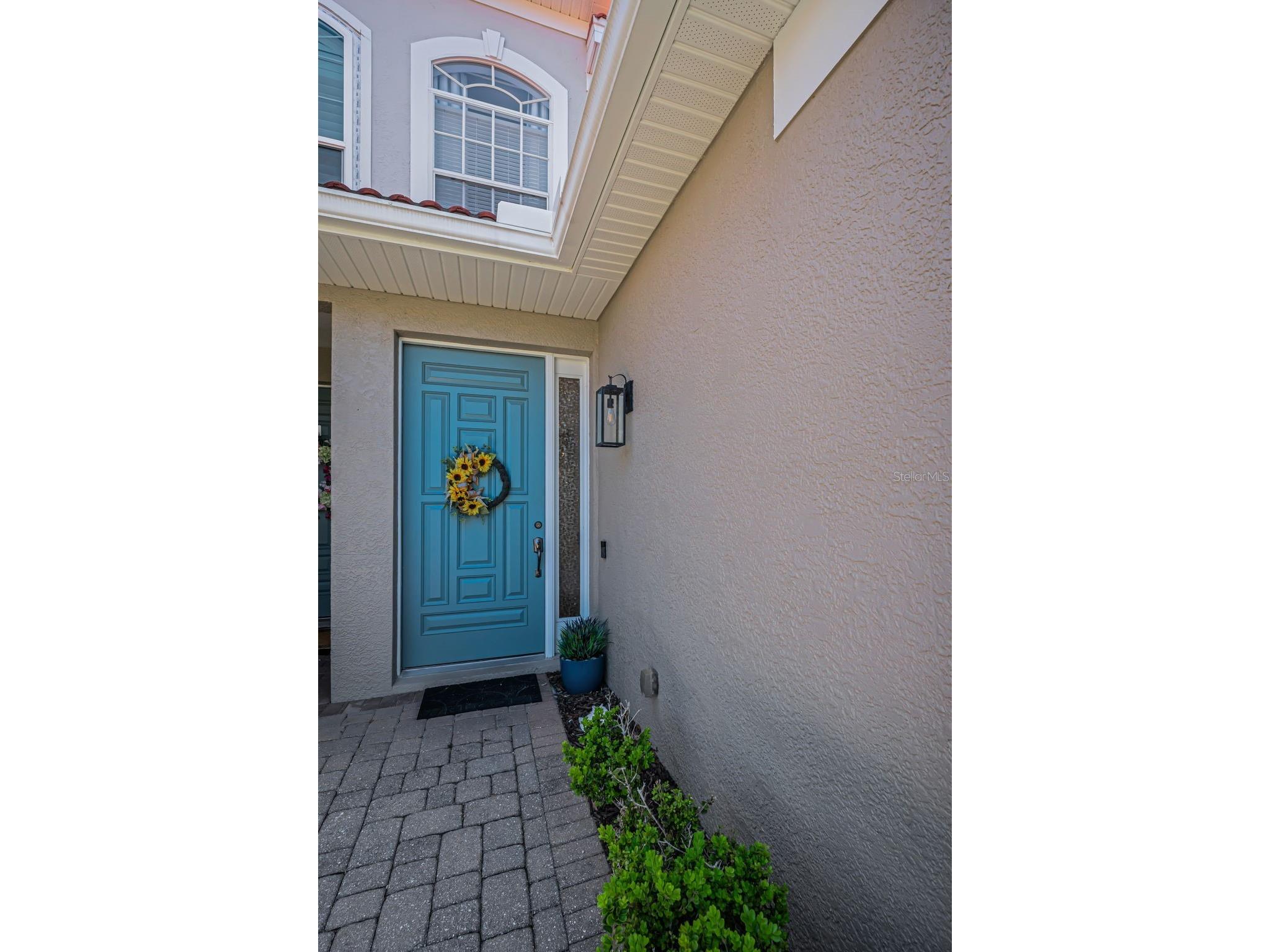 1411 Tessano Place Palm Harbor FL 34683 TB8494572 image47