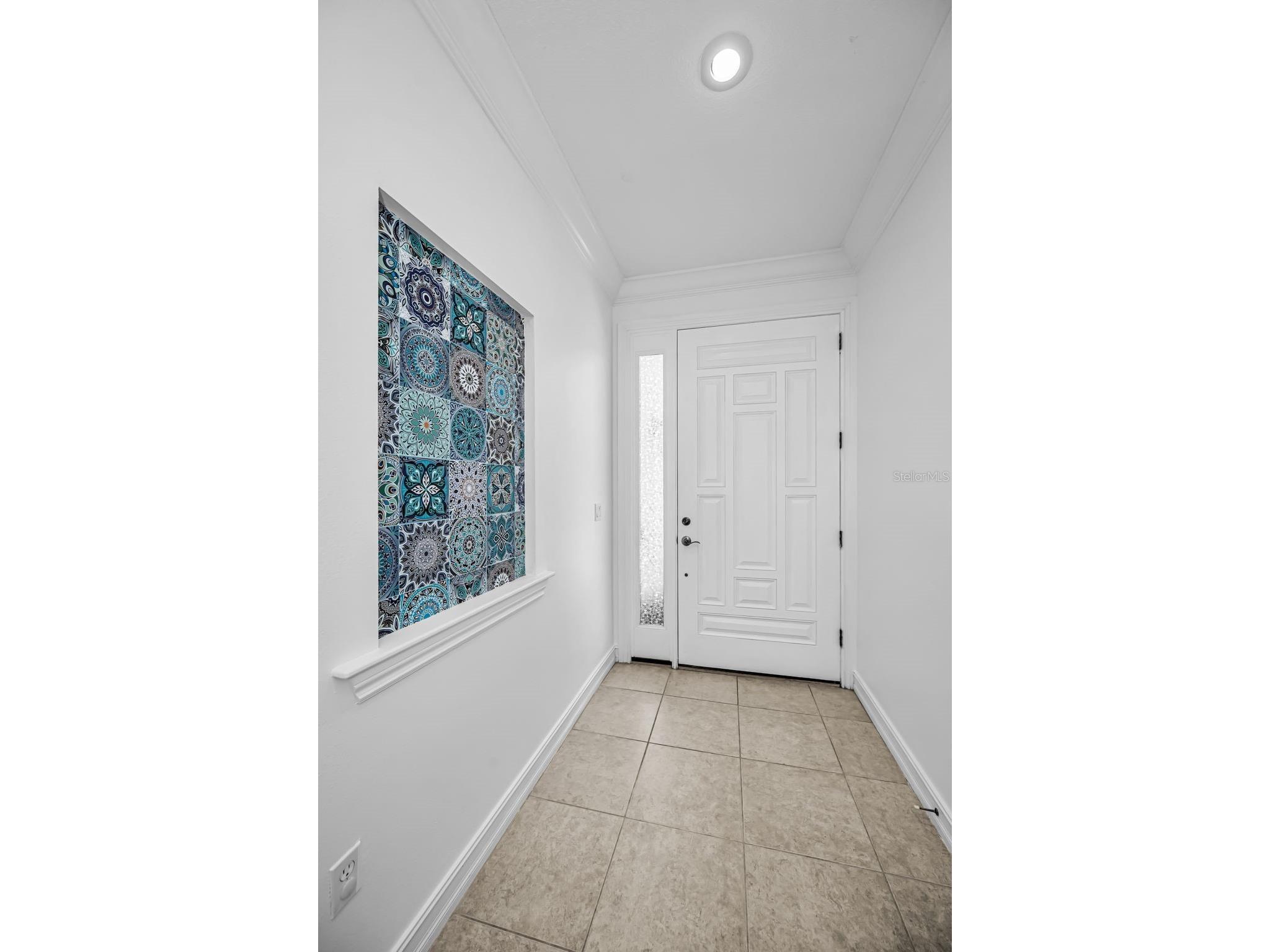1411 Tessano Place Palm Harbor FL 34683 TB8494572 image48