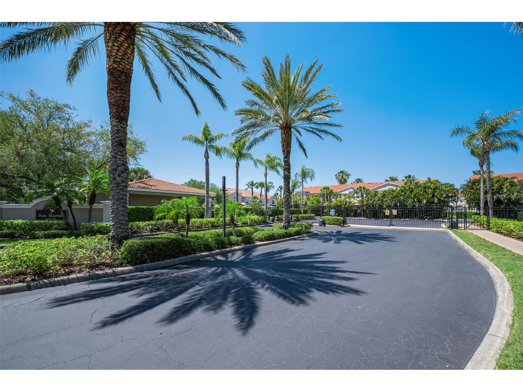 1411 Tessano Place Palm Harbor FL 34683 TB8494572 image51