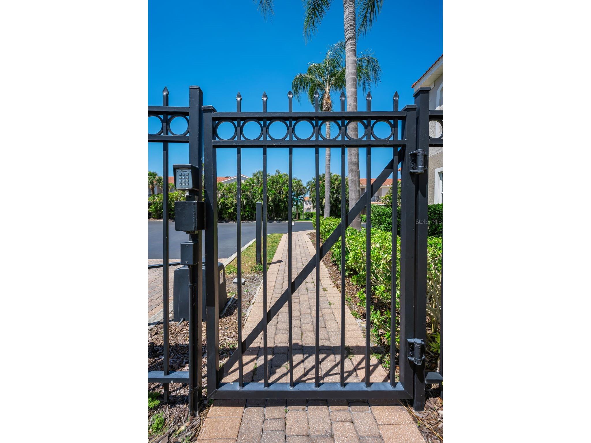1411 Tessano Place Palm Harbor FL 34683 TB8494572 image53