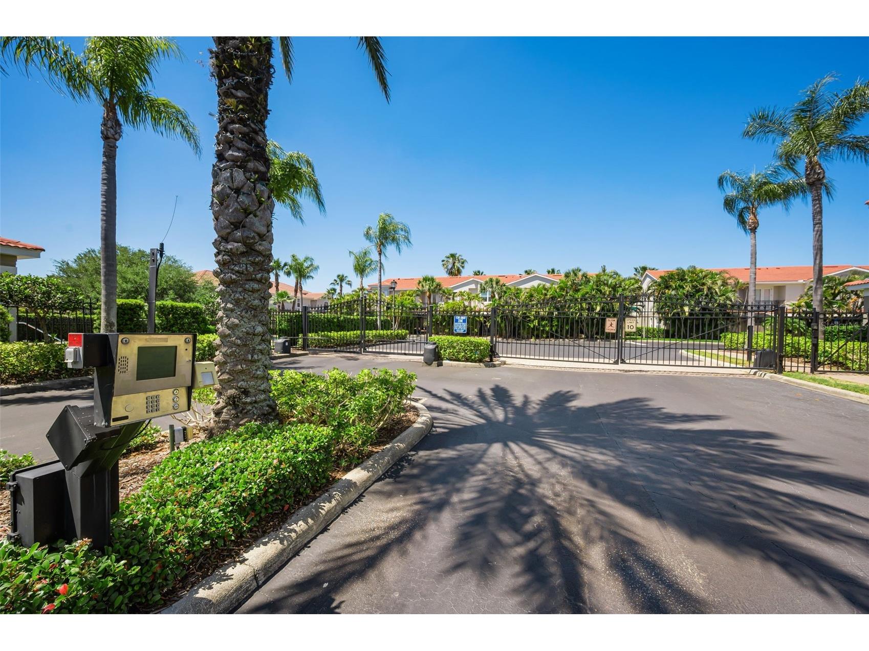 1411 Tessano Place Palm Harbor FL 34683 TB8494572 image54