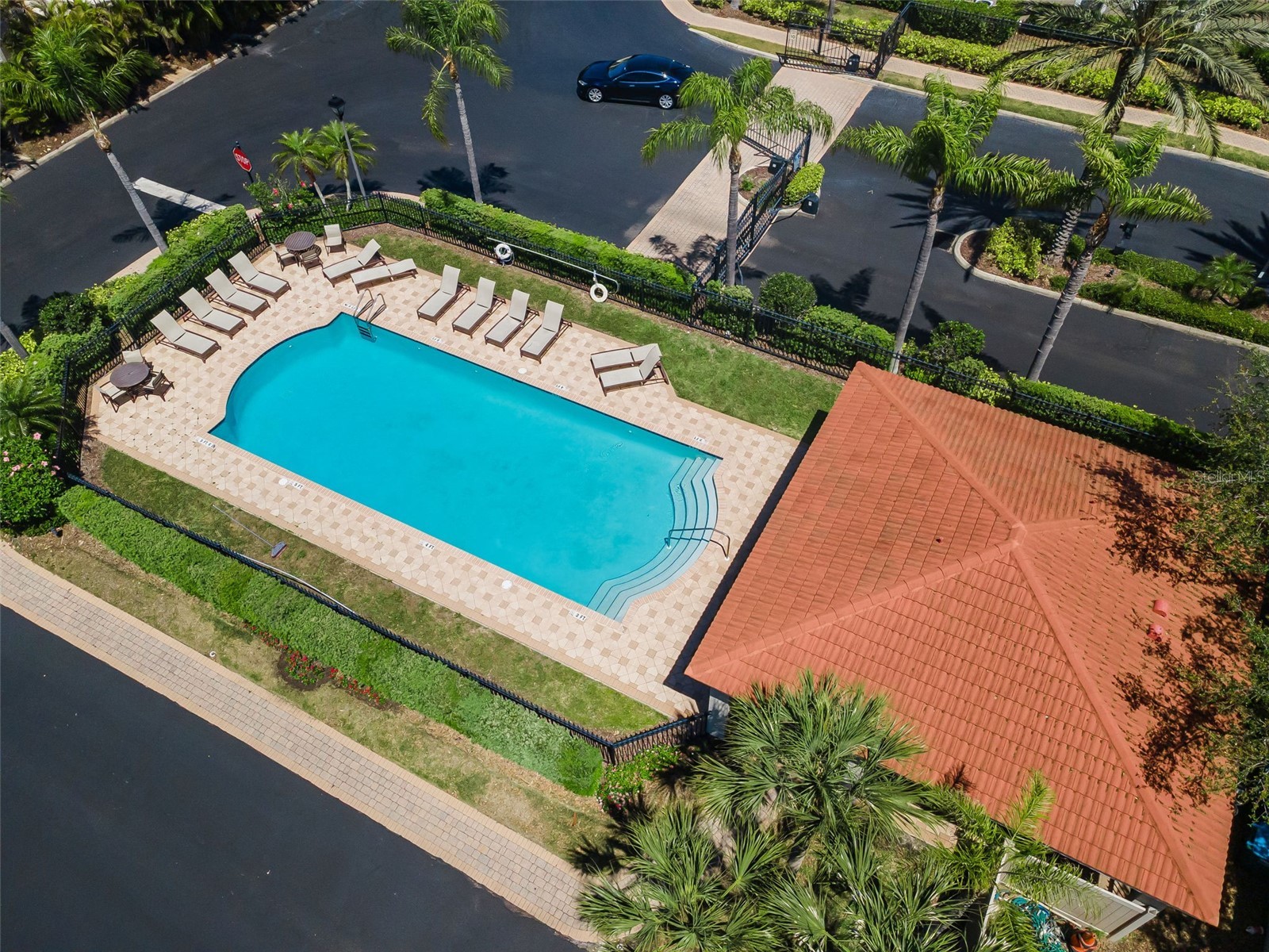 1411 Tessano Place Palm Harbor FL 34683 TB8494572 image58