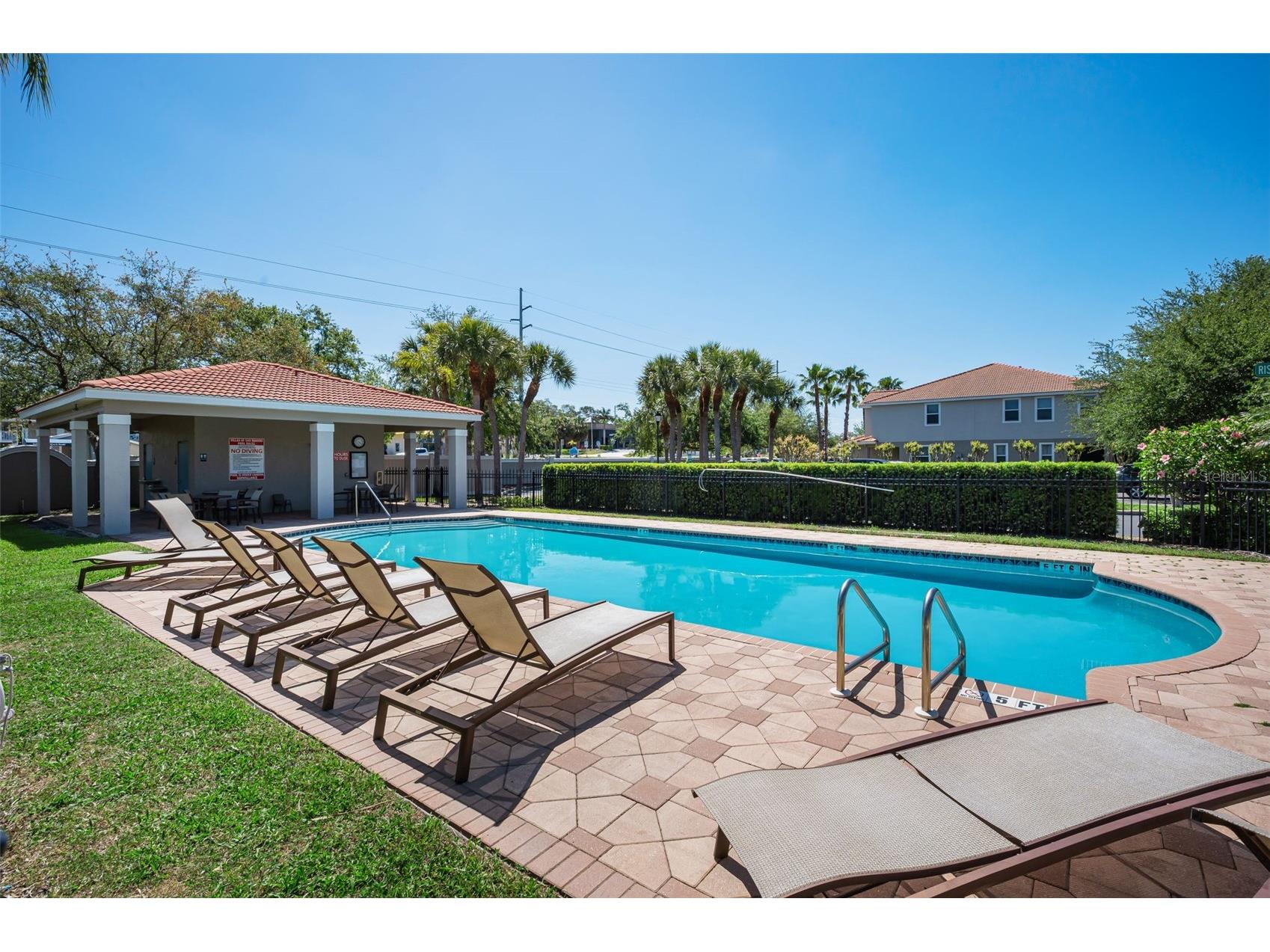 1411 Tessano Place Palm Harbor FL 34683 TB8494572 image59