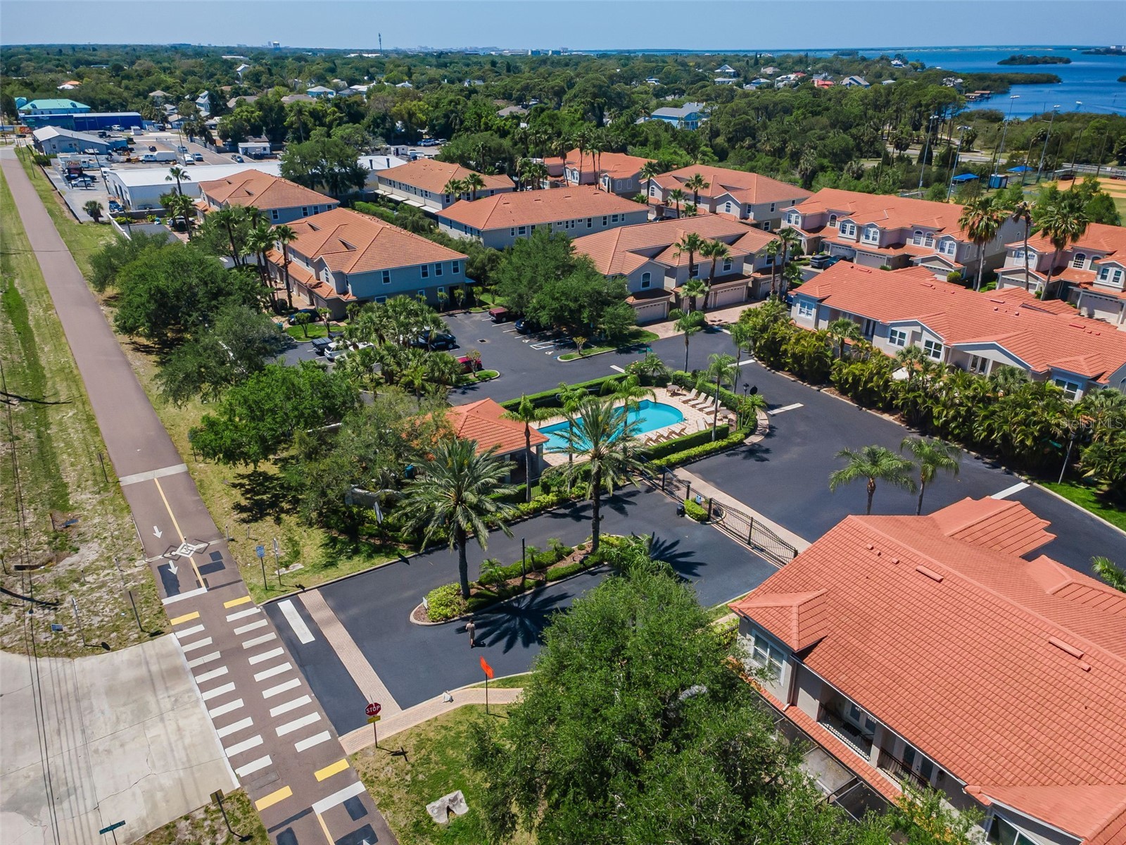 1411 Tessano Place Palm Harbor FL 34683 TB8494572 image62