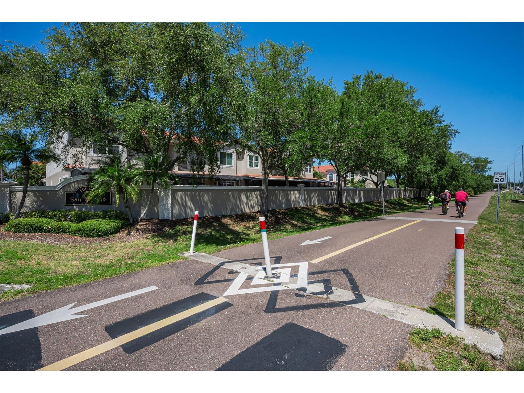 1411 Tessano Place Palm Harbor FL 34683 TB8494572 image63