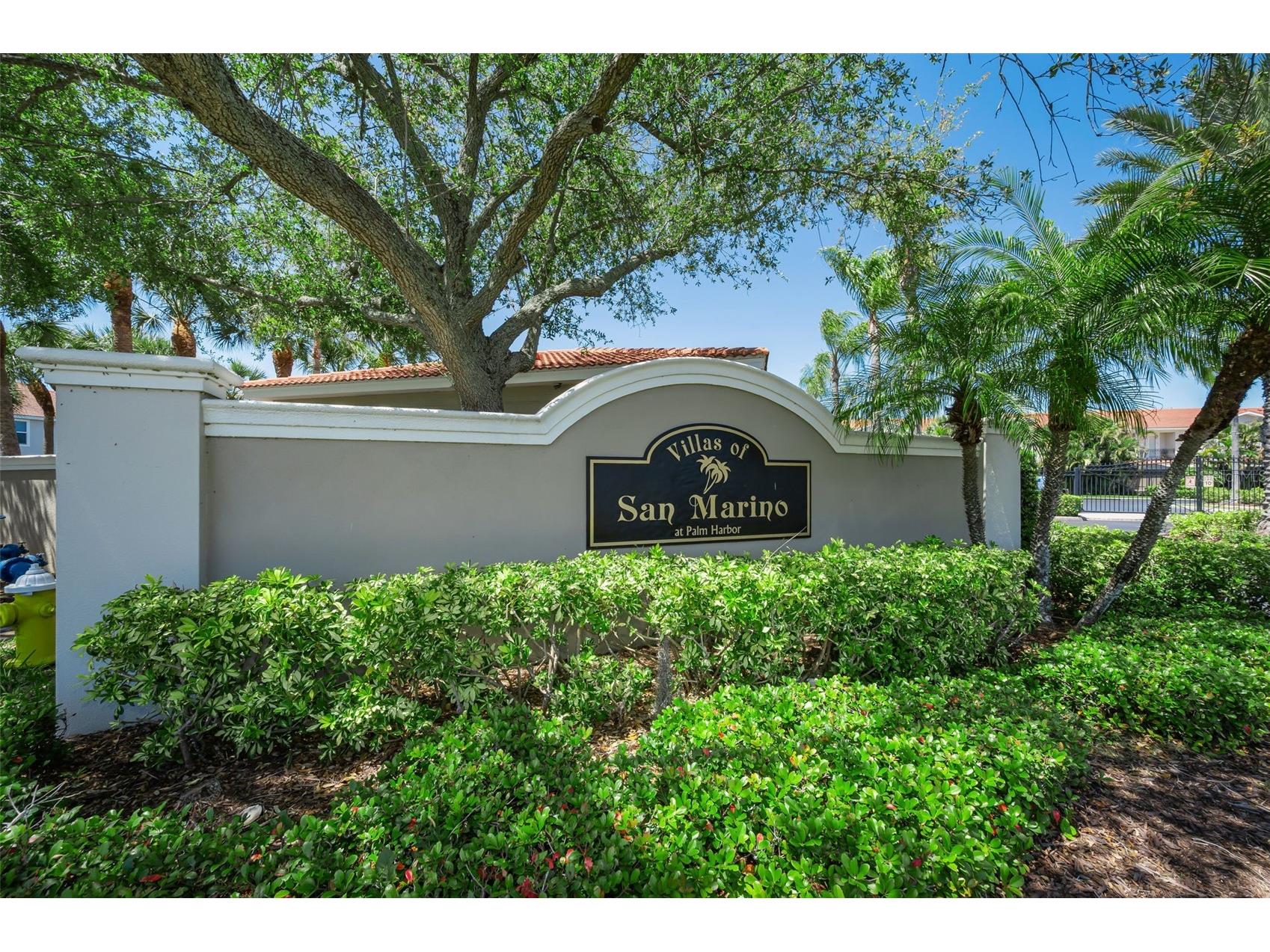 1411 Tessano Place Palm Harbor FL 34683 TB8494572 image66