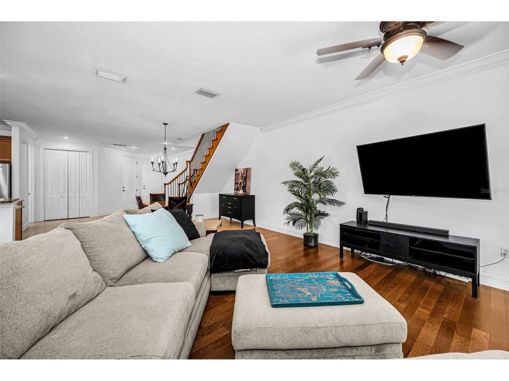 1411 Tessano Place Palm Harbor FL 34683 TB8494572 image7