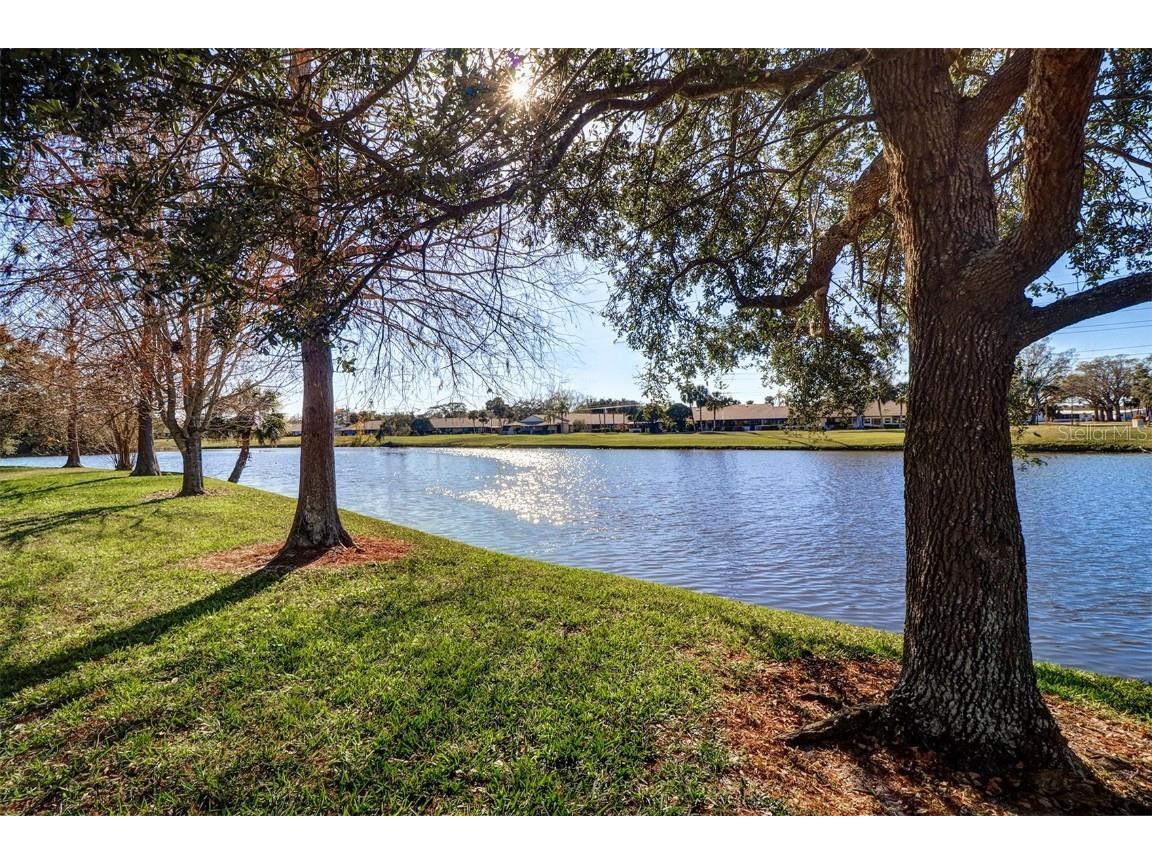 1411 Water View Drive W Largo FL 33771 TB8349469 image30