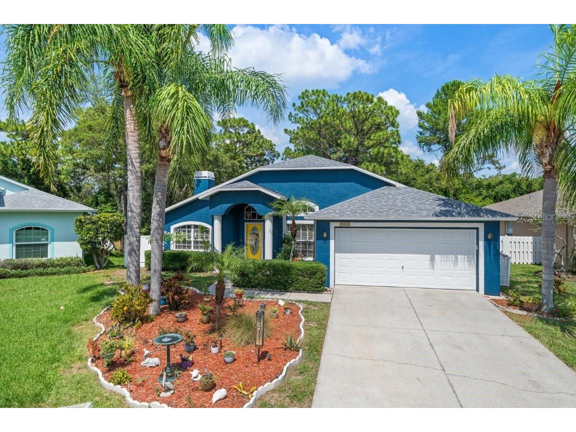 1411 Watermill Circle Tarpon Springs FL 34689 U8247366 image1