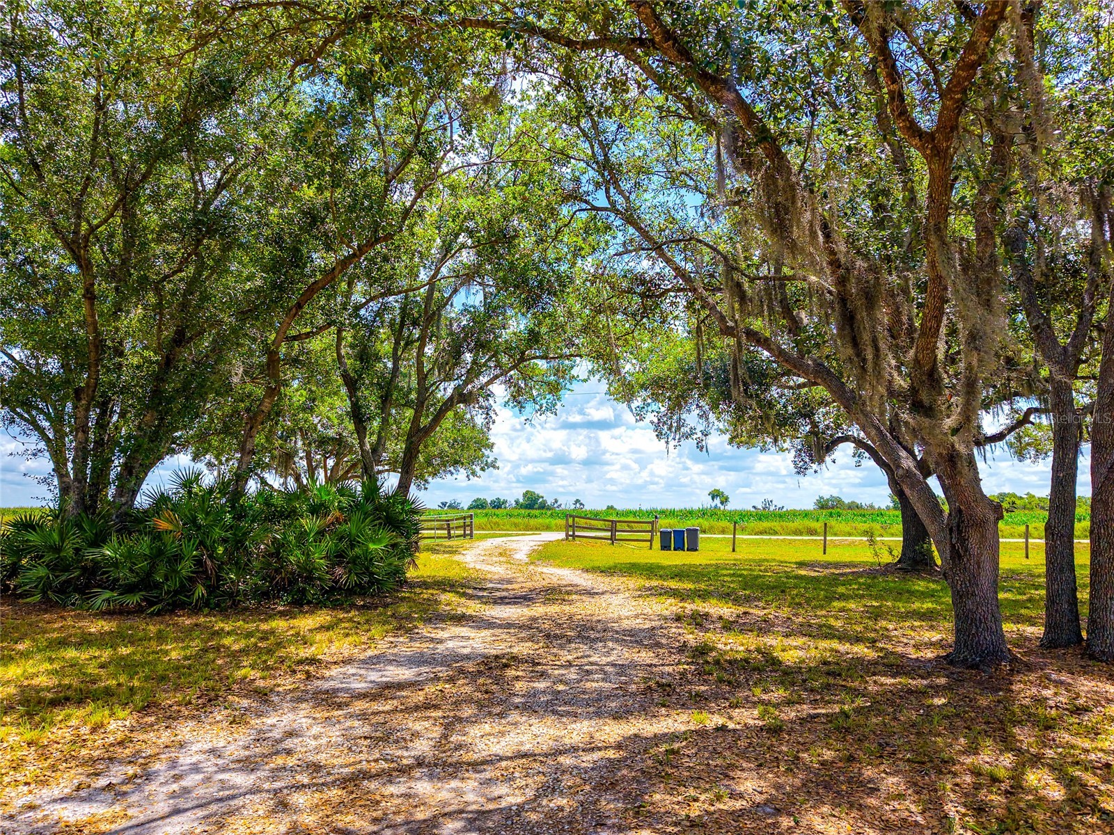 14110 Sugar Bowl Road Myakka City FL 34251 A4694067 image47