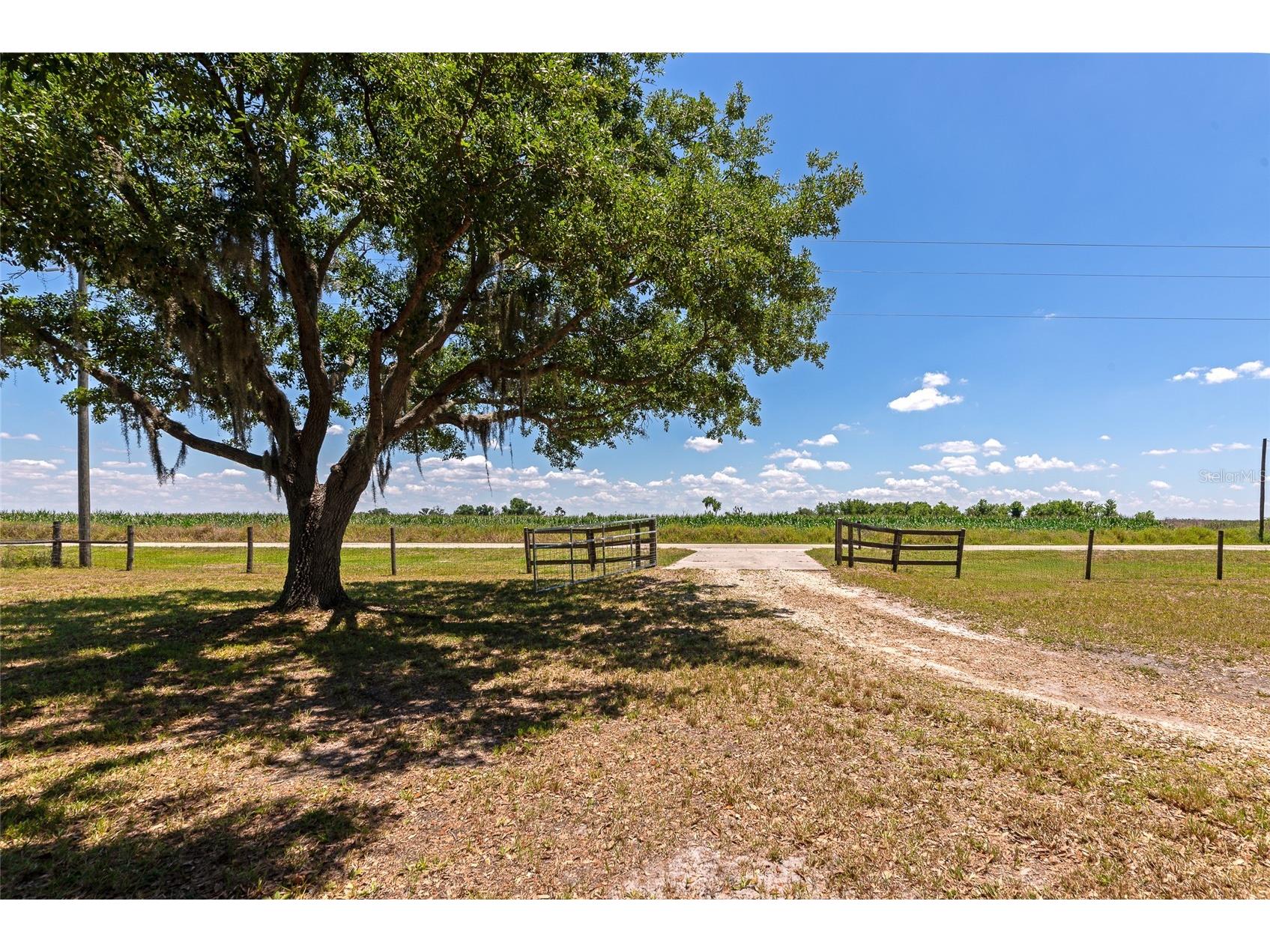 14110 Sugar Bowl Road Myakka City FL 34251 A4694067 image54