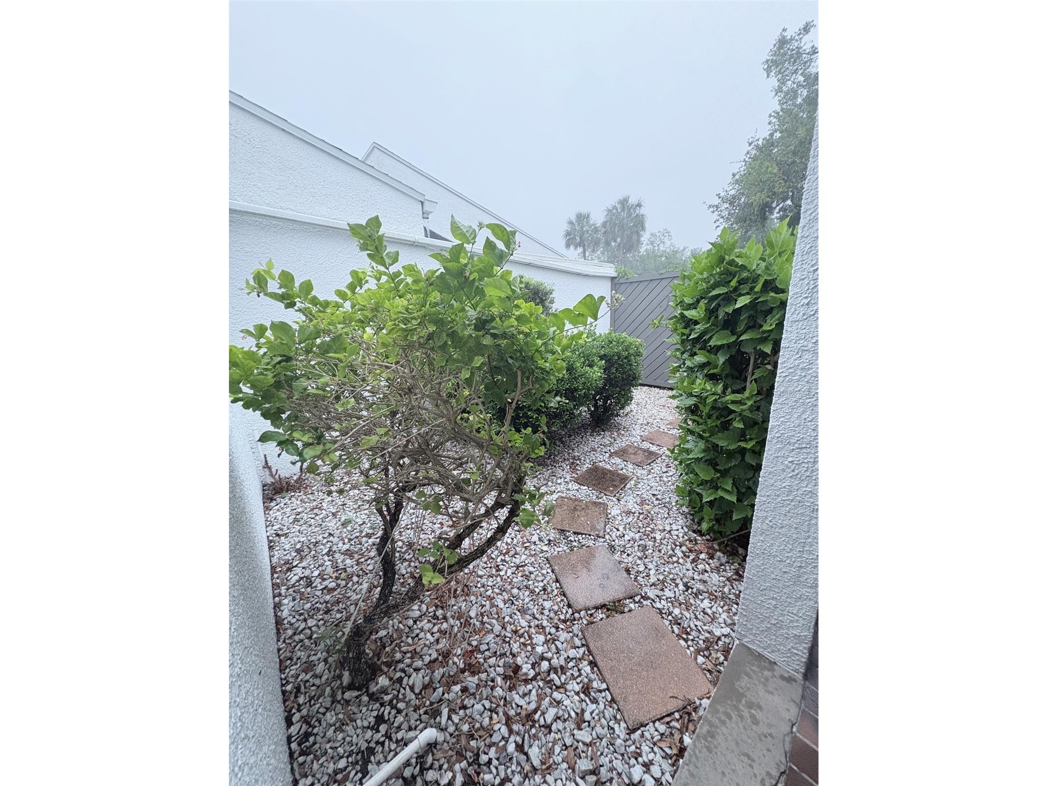 14111 Cypress Circle Tampa FL 33618 A4688854 image14