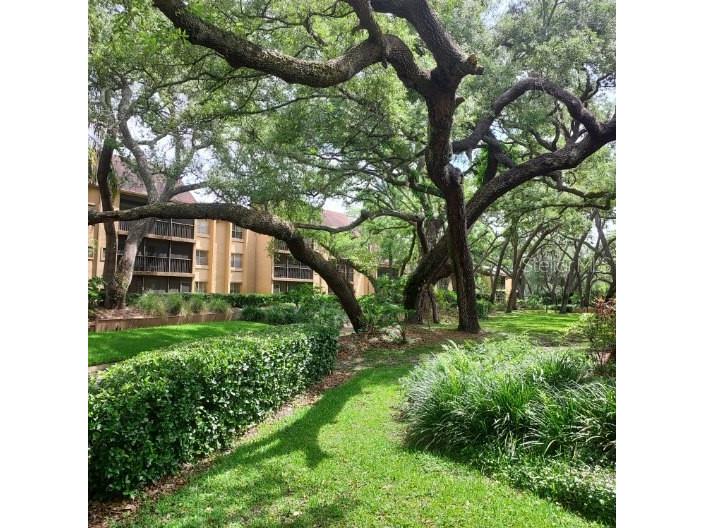 14111 Mossy Glen Lane #101C Tampa FL 33613 TB8506874 image2