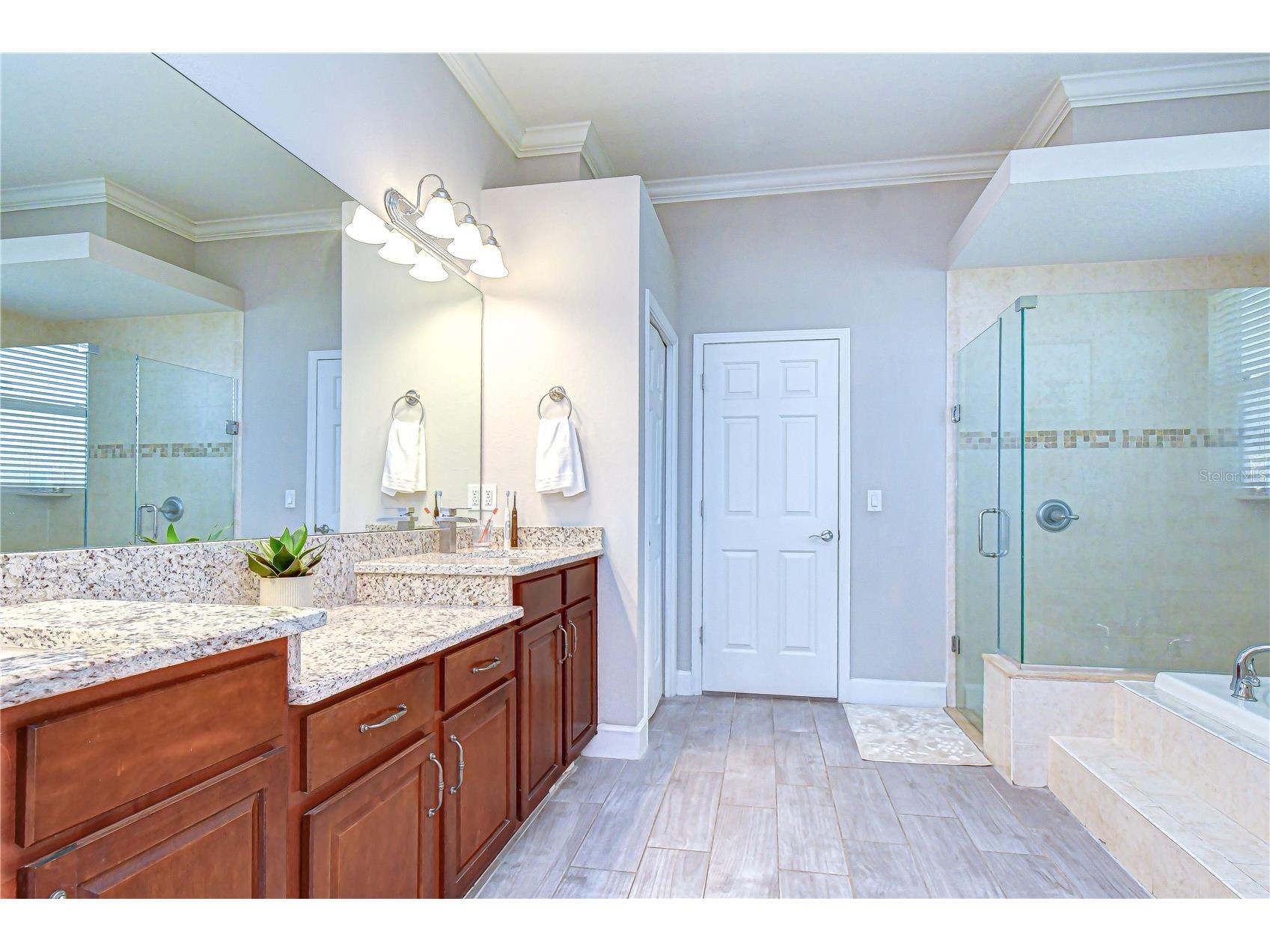 14112 Creek Run Drive Riverview FL 33579 TB8494874 image21