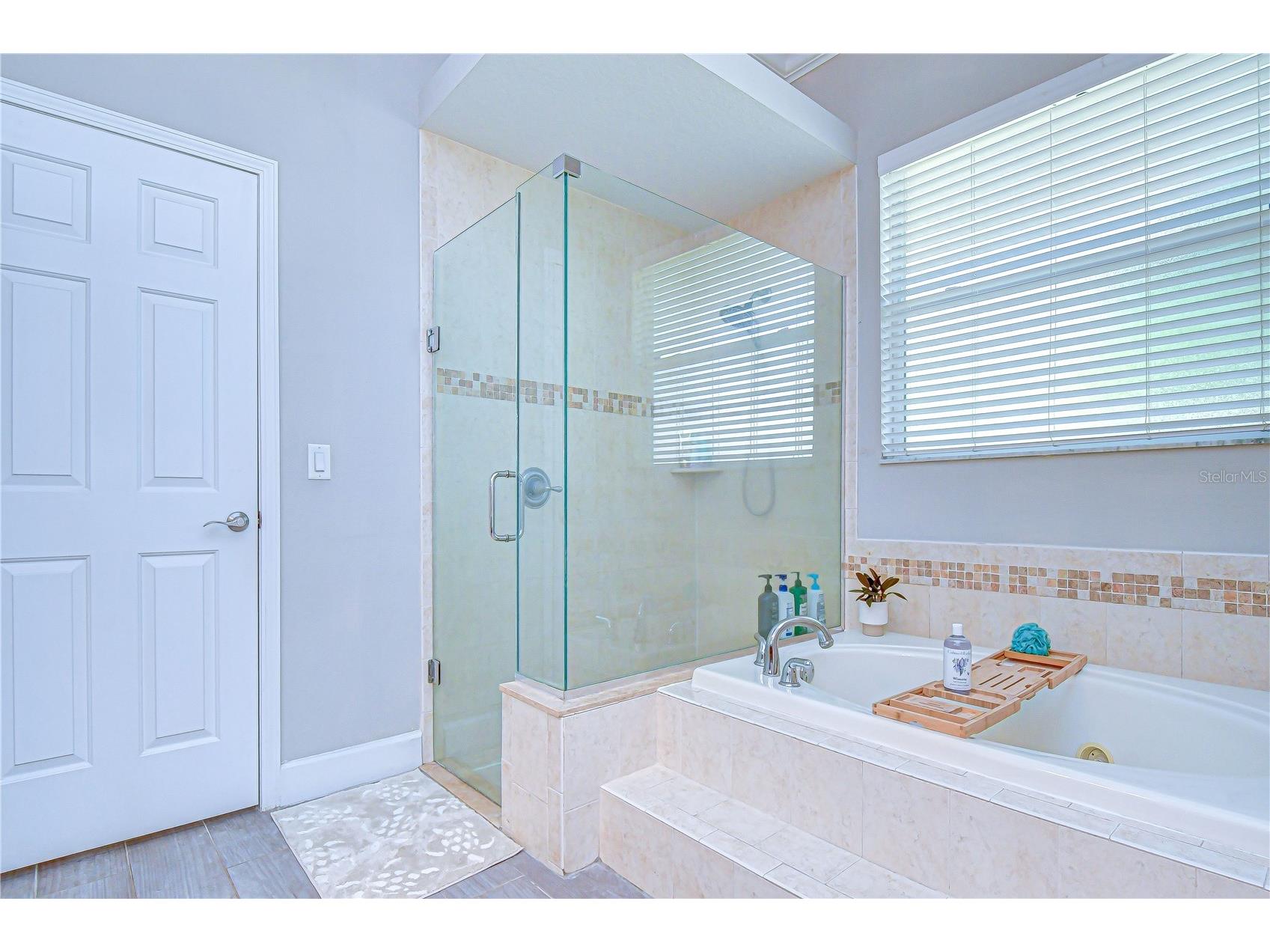 14112 Creek Run Drive Riverview FL 33579 TB8494874 image22