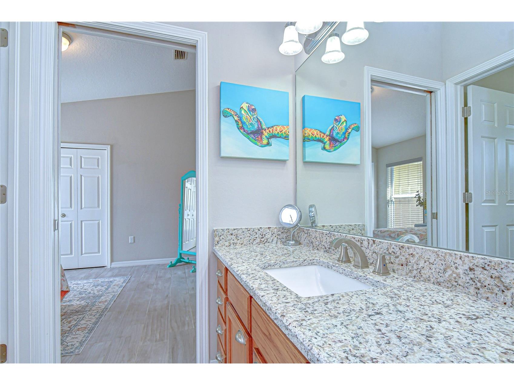 14112 Creek Run Drive Riverview FL 33579 TB8494874 image25