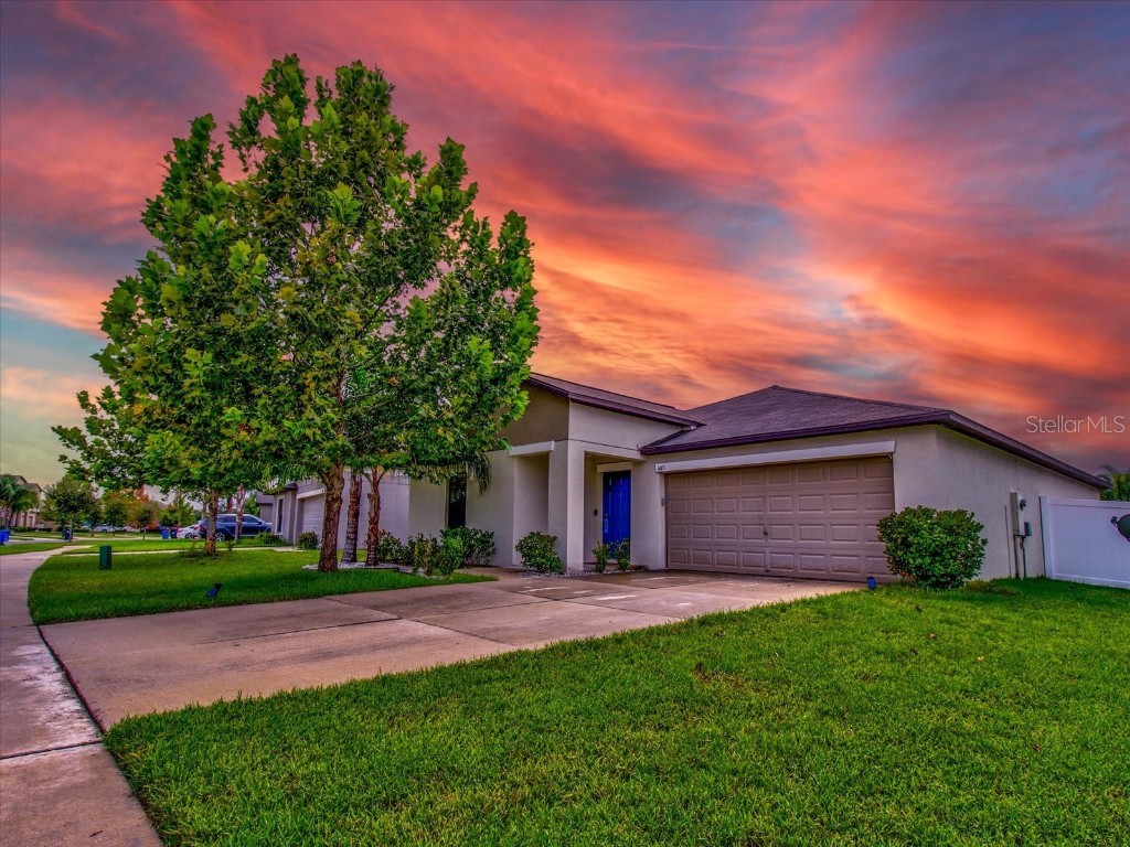 14113 Covert Green Place Riverview FL 33579 U8212000 image1