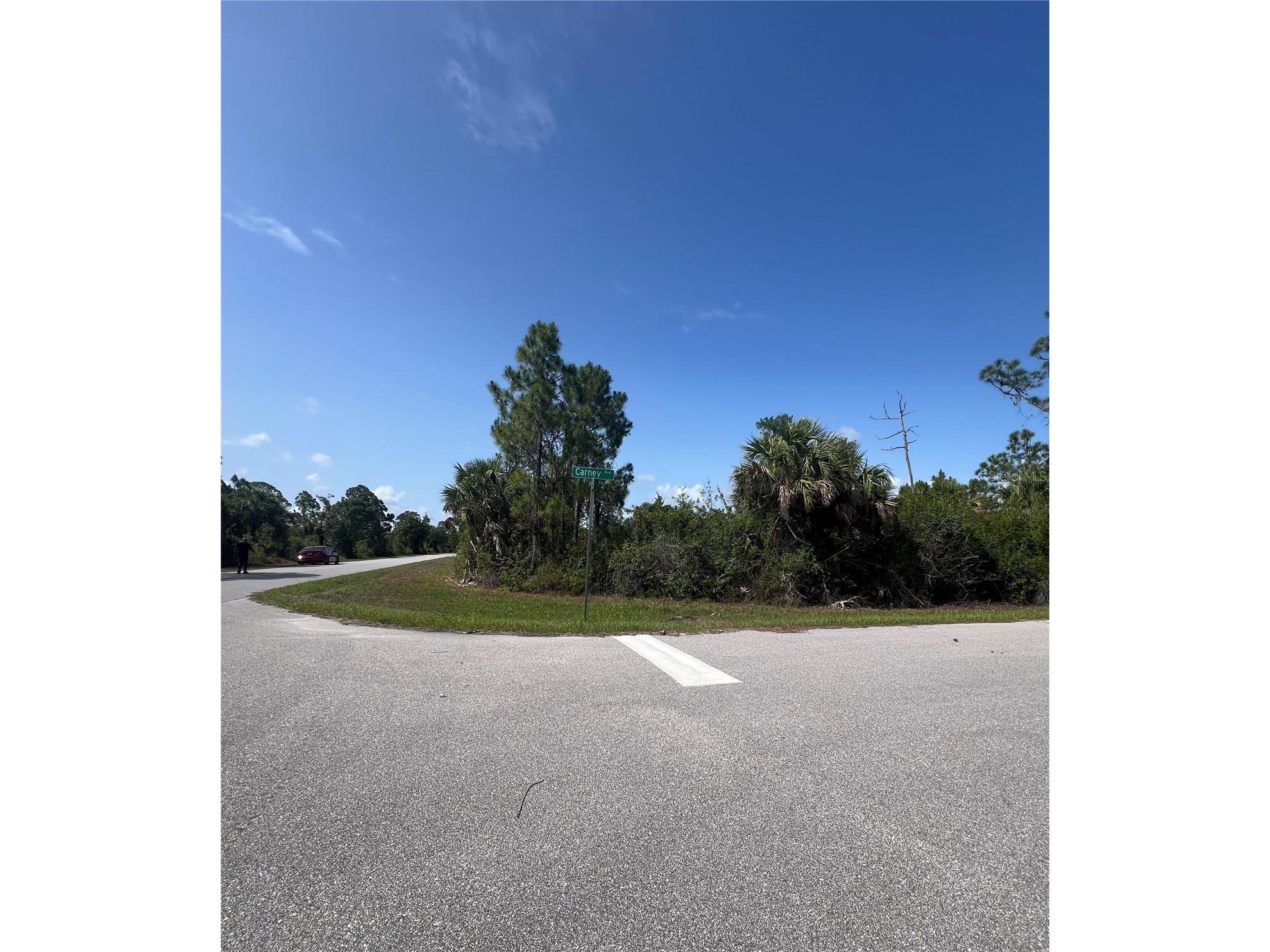 14114 Carney Avenue Port Charlotte FL 33953 TB8395778 image14