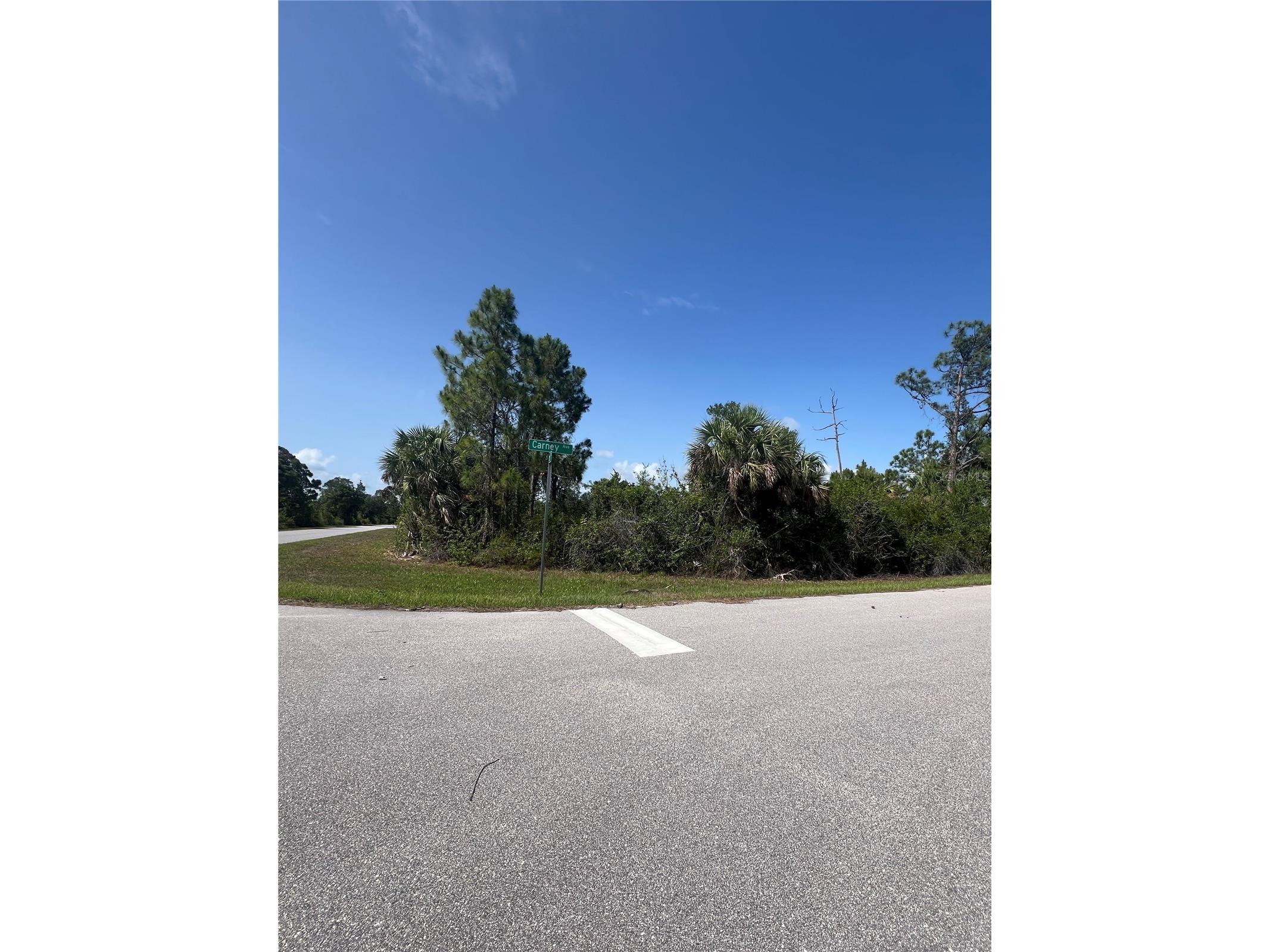 14114 Carney Avenue Port Charlotte FL 33953 TB8395778 image5