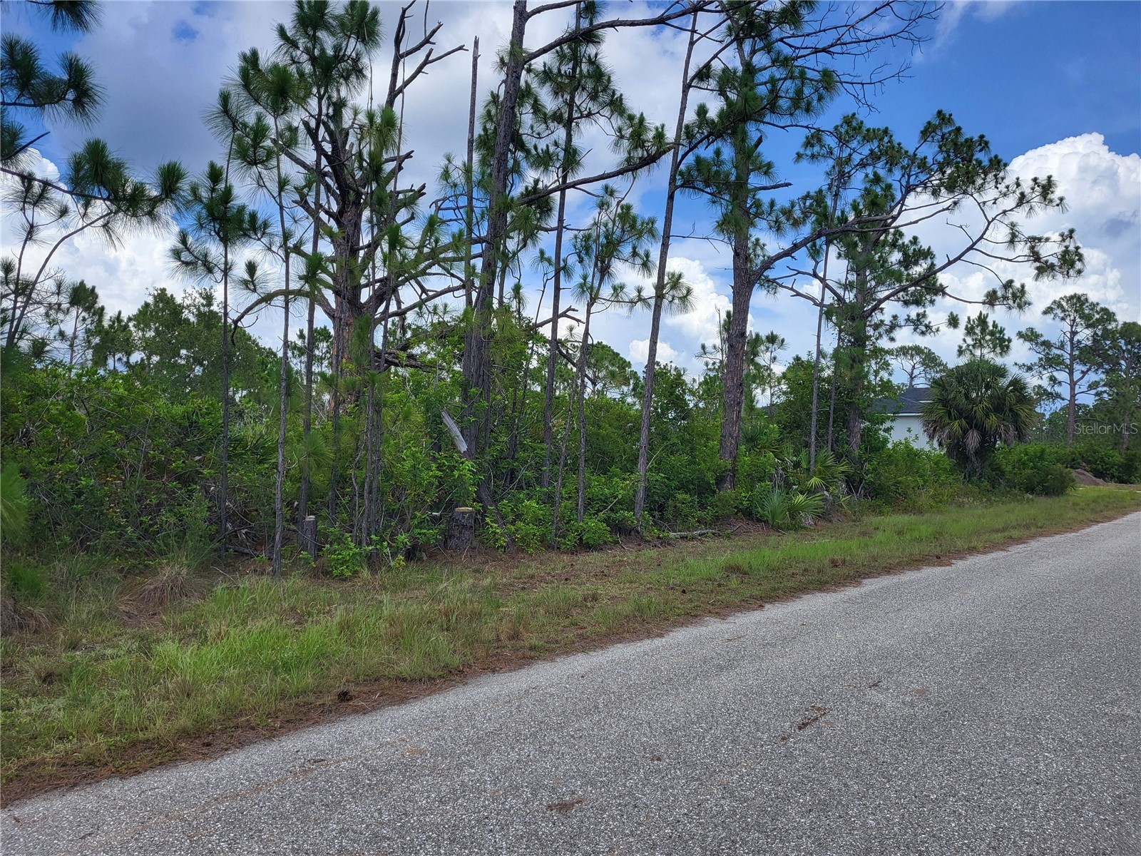 14114 Clarissa Lane Port Charlotte FL 33981 D6147929 image3