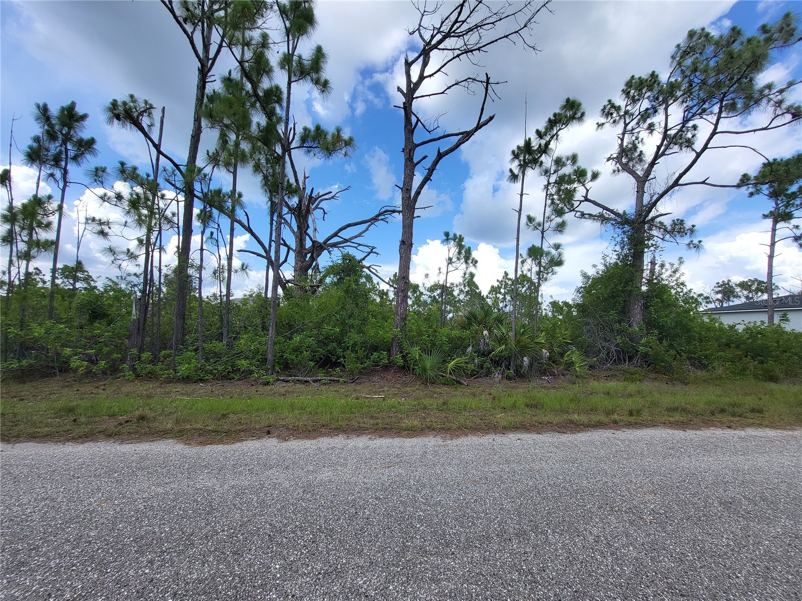 14114 Clarissa Lane Port Charlotte FL 33981 D6147929 image4