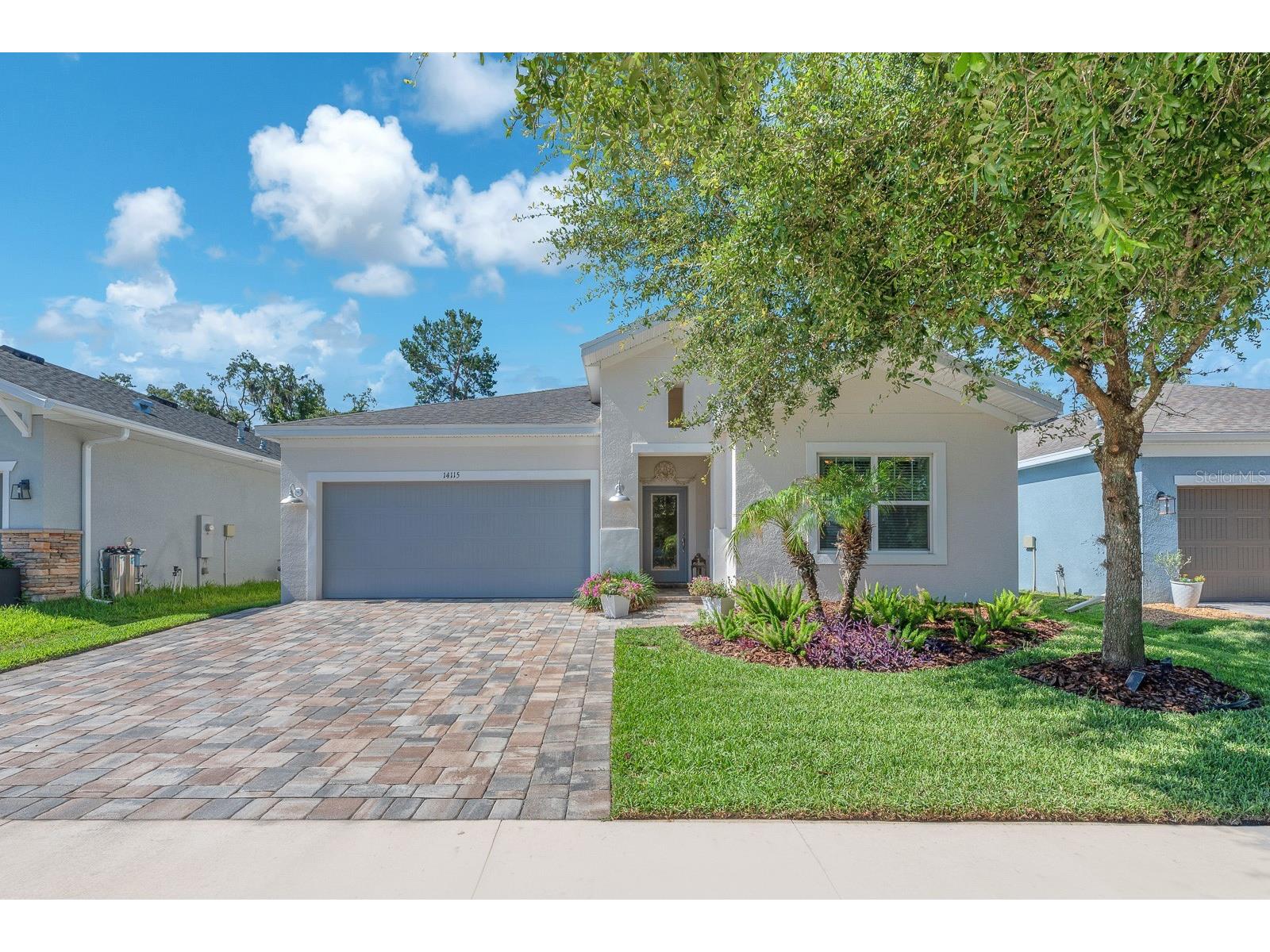 14115 Carissa Meadows Court Riverview FL 33569 TB8514364 image1