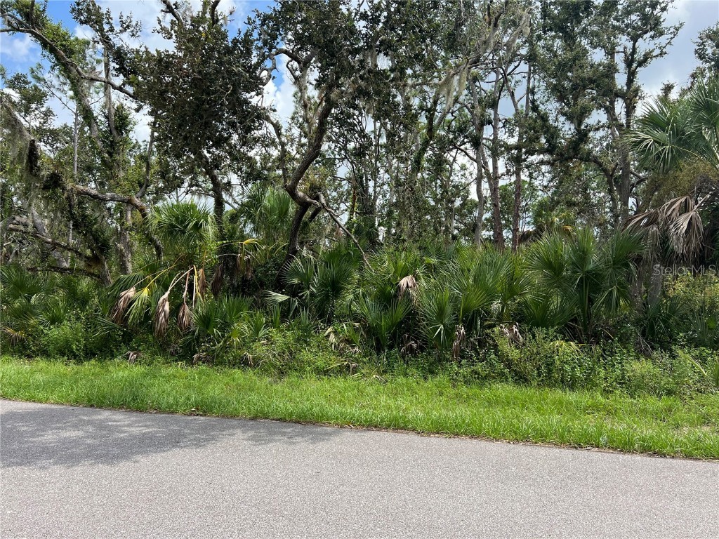 14115 Massey Avenue Port Charlotte FL 33953 C7478617 image1