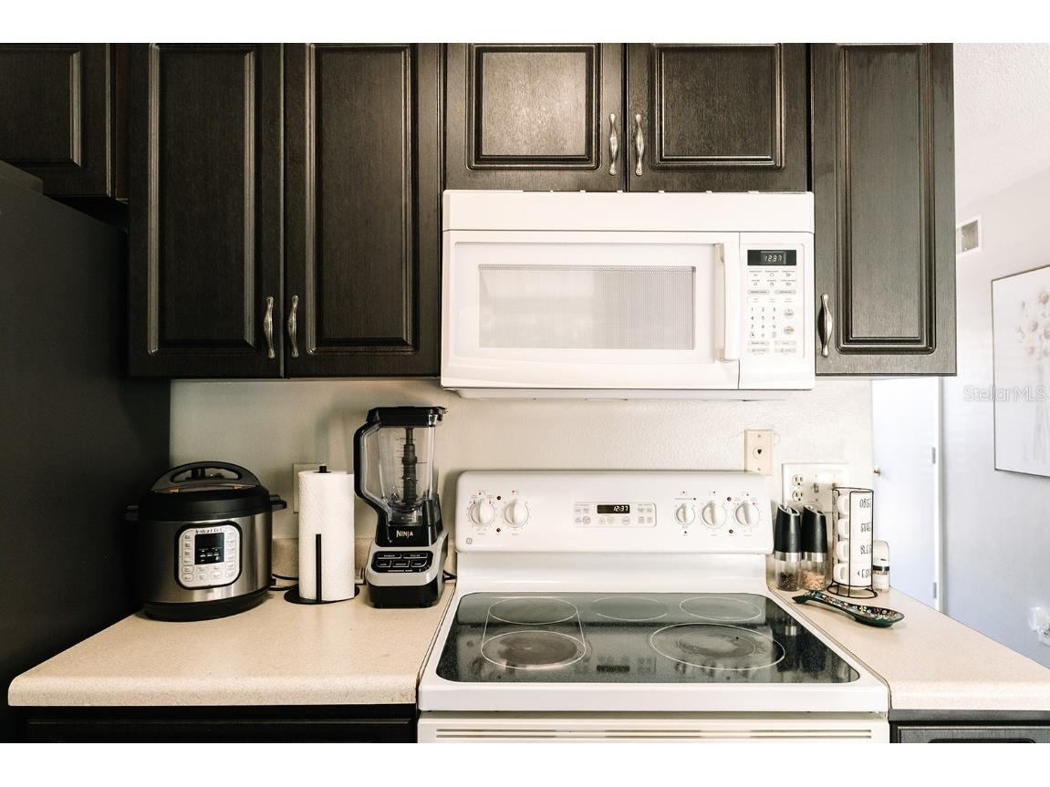 14115 Village View Drive Tampa FL 33624 TB8445694 image10