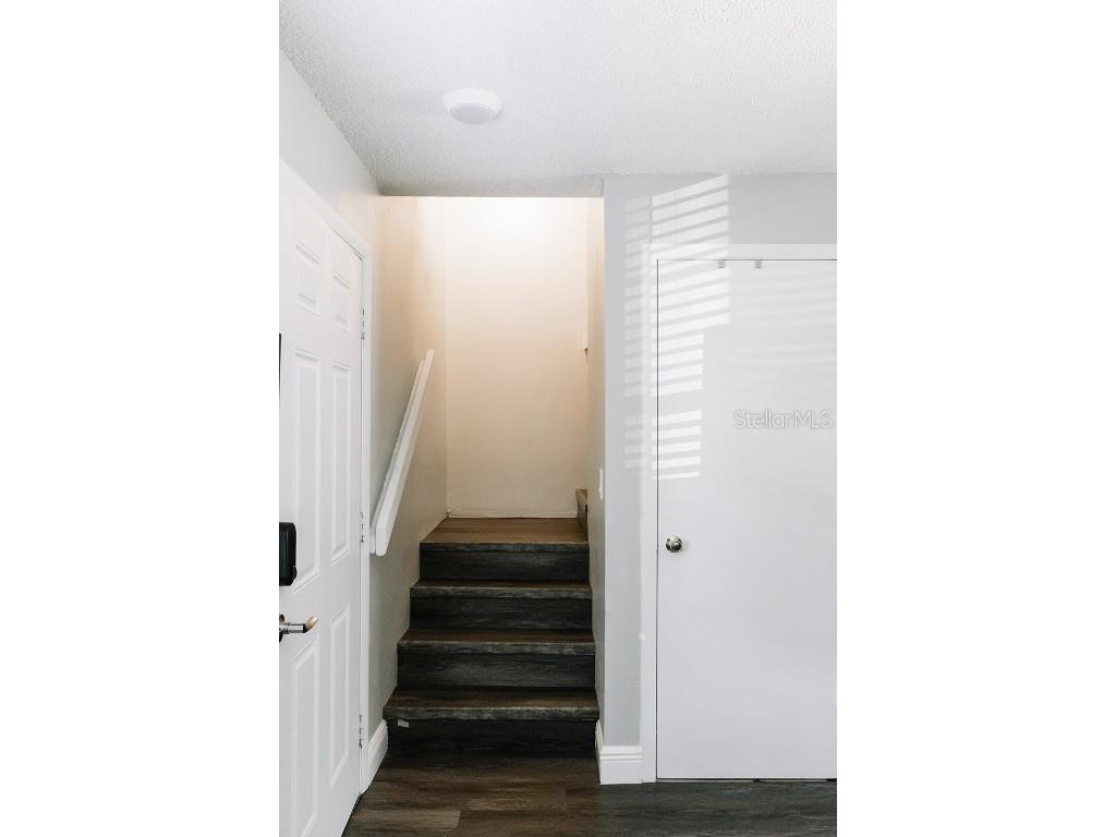 14115 Village View Drive Tampa FL 33624 TB8445694 image17