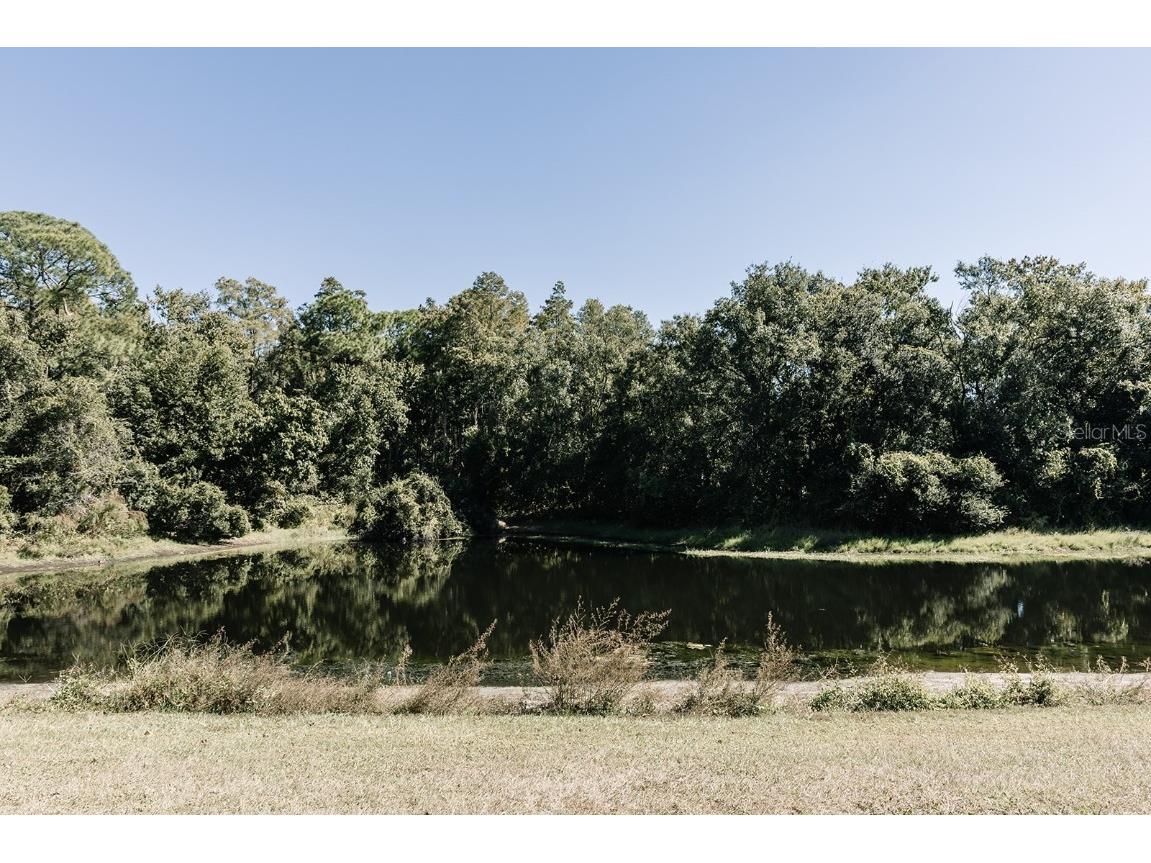 14115 Village View Drive Tampa FL 33624 TB8445694 image2