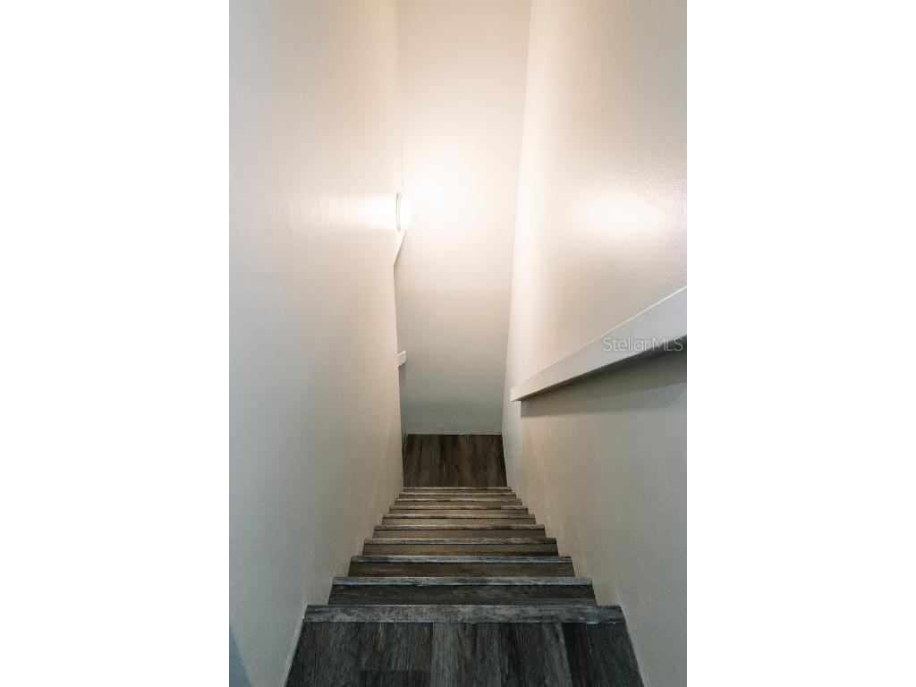 14115 Village View Drive Tampa FL 33624 TB8445694 image28