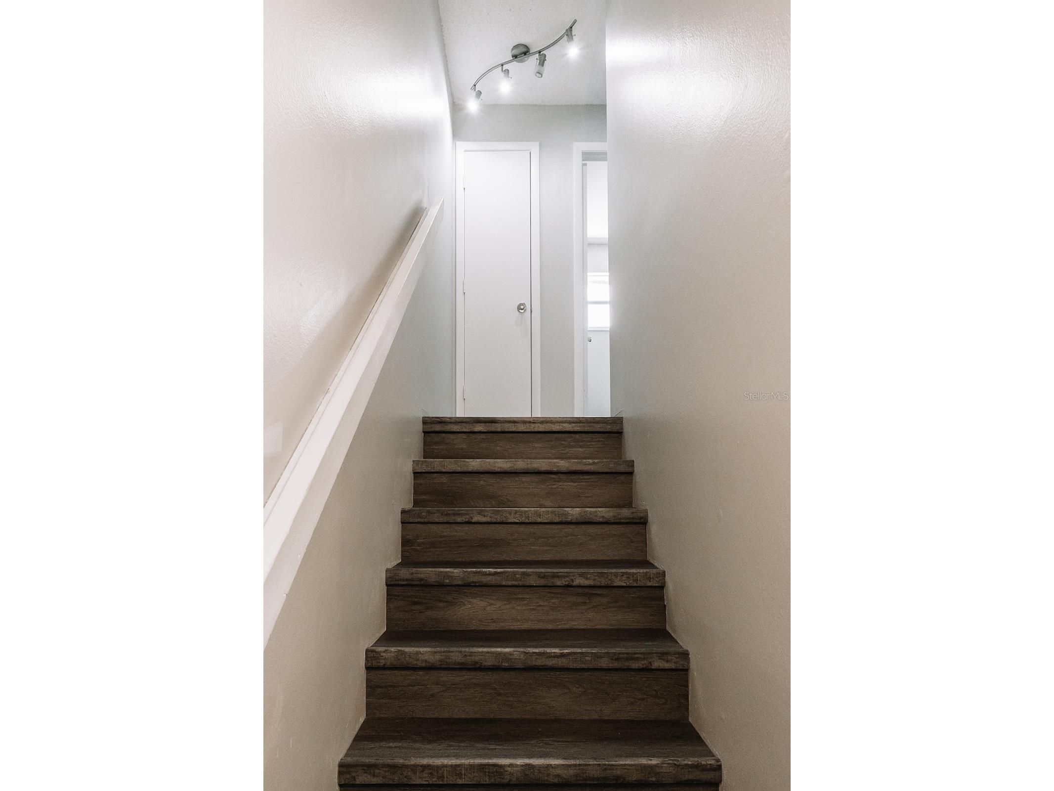 14115 Village View Drive Tampa FL 33624 TB8505691 image17