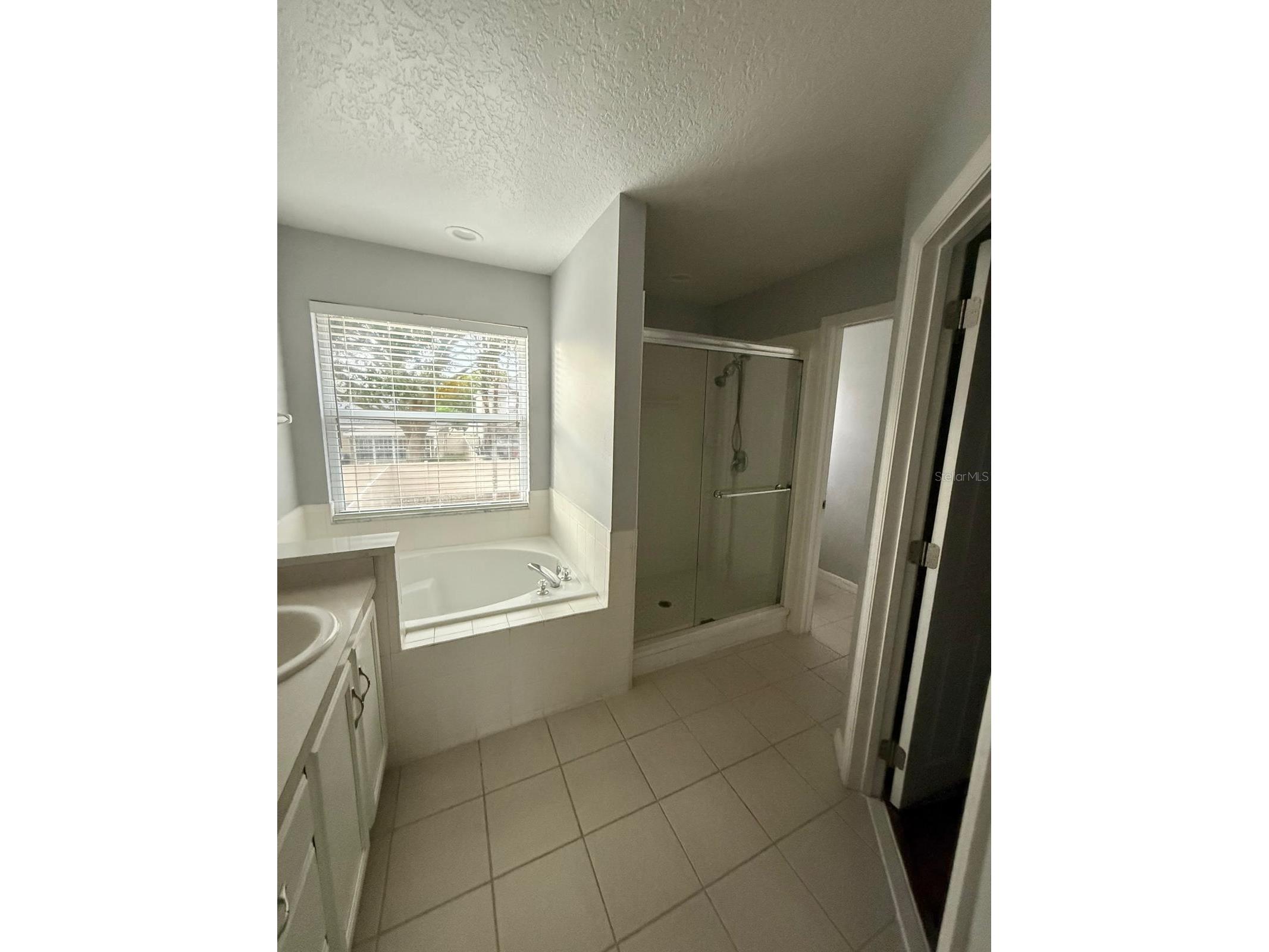 14116 Entrada Drive Orlando FL 32837 O6403813 image55