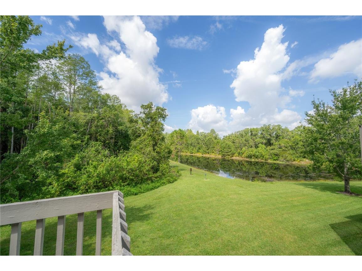 14116 Trouville Drive Tampa FL 33624 TB8391257 image1