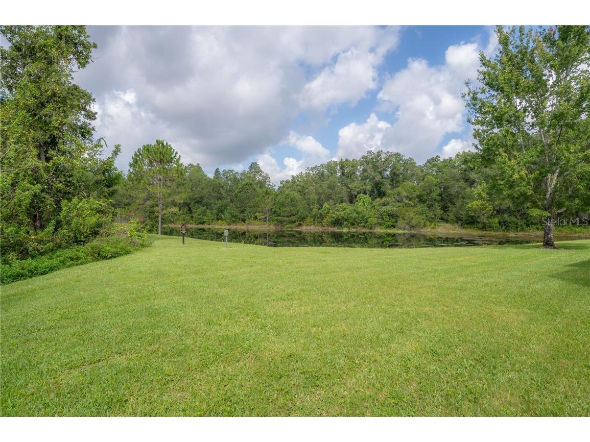 14116 Trouville Drive Tampa FL 33624 TB8391257 image18