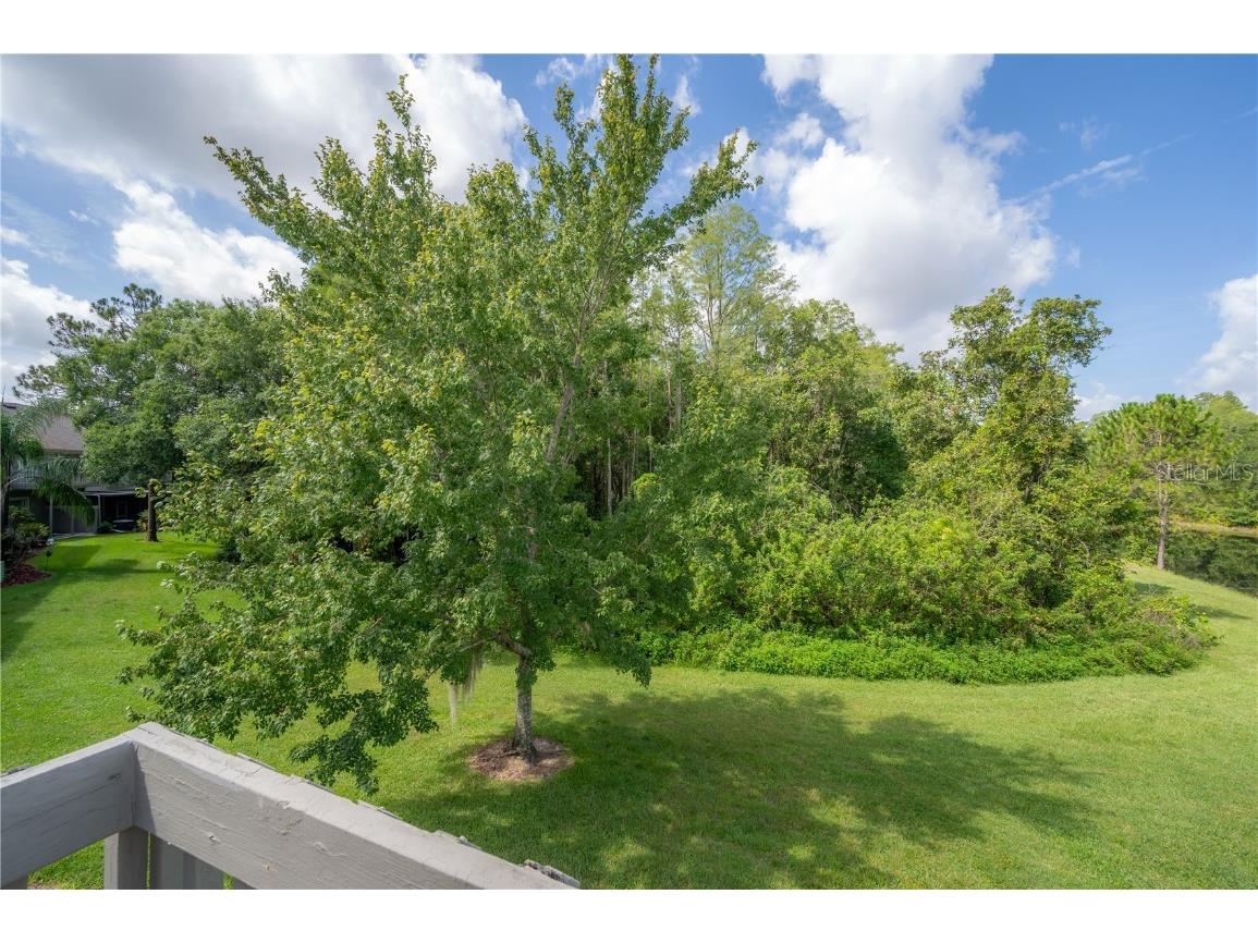 14116 Trouville Drive Tampa FL 33624 TB8391257 image25