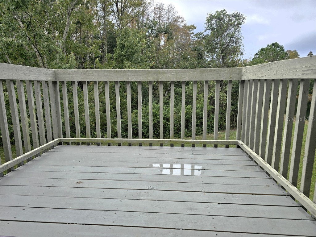 14116 Trouville Drive Tampa FL 33624 TB8391257 image26